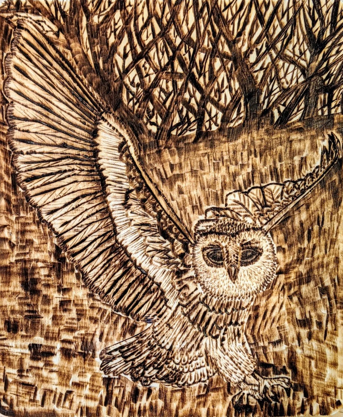 Wood engraving of an owl with detailed feathers, wings spread wide, sitting on a branch.