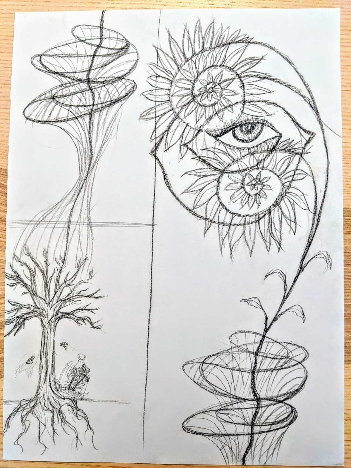 Sketch of a surreal drawing with a large eye embedded in a spiral pattern of sunflower-like shapes on a plant with a long, twisting stem, and a separate tree with twisting branches and deep roots, along with abstract spiral and plant forms.