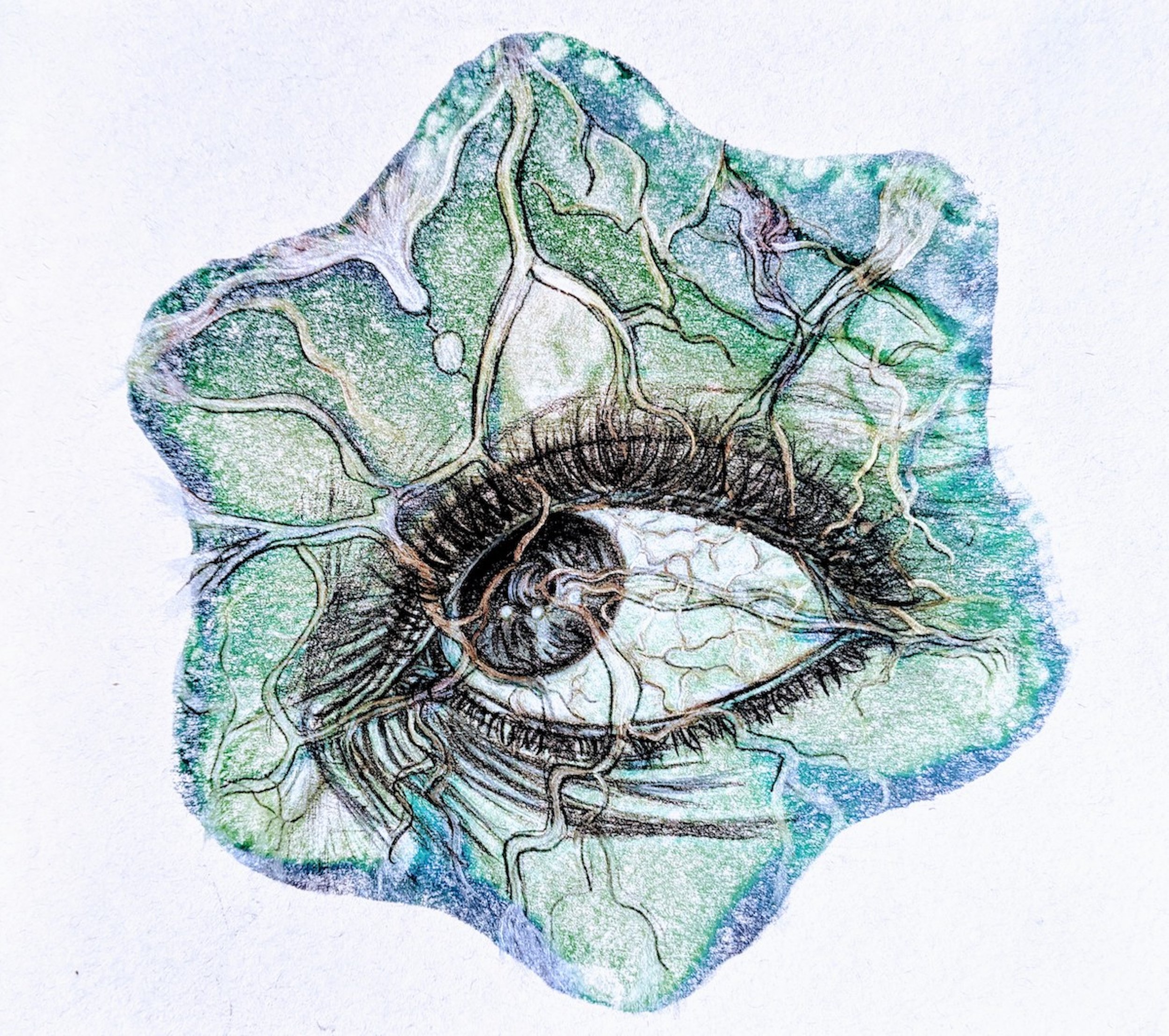 Drawing of a human eye with a tree growing inside, with branches extending outward.