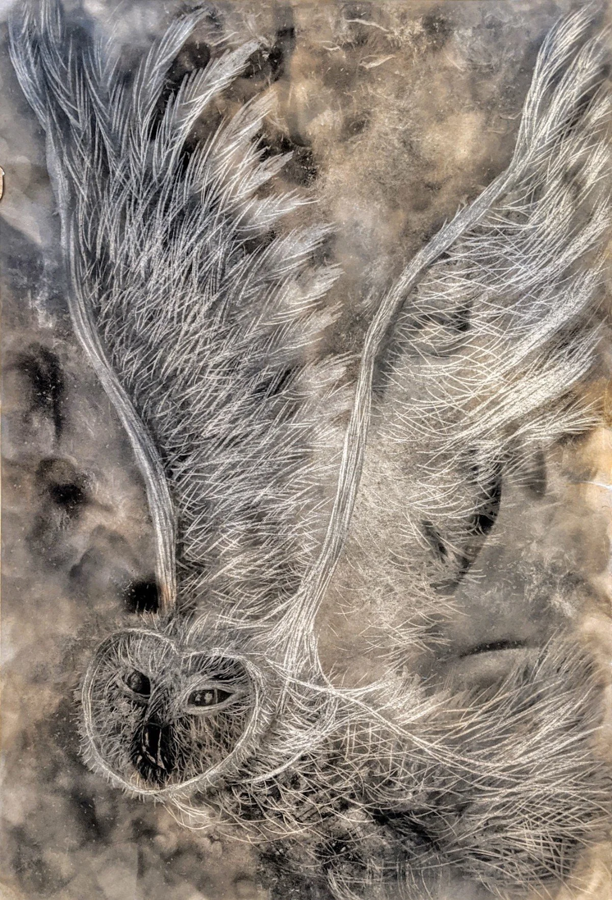 Close-up of a leaf with intricate, white, vein-like patterns and a dried, textured surface.