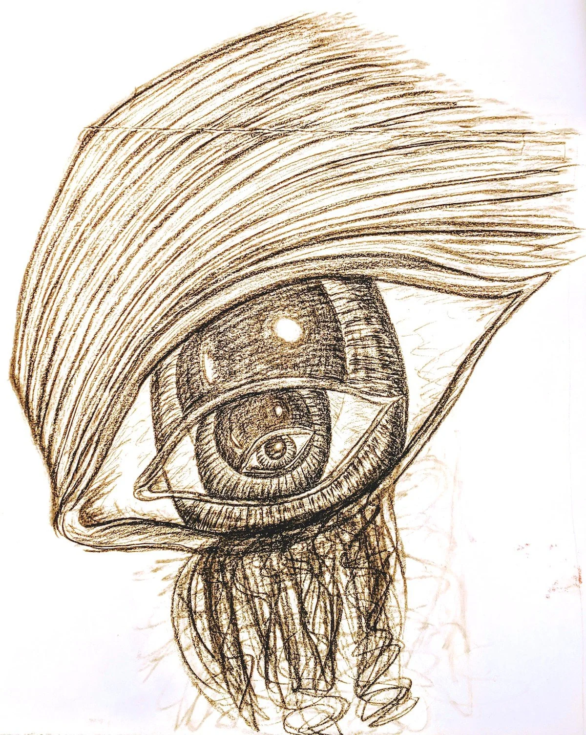 A detailed pencil sketch of a human eye with a whirlpool-like pattern in the iris, surrounded by hair and other abstract elements.