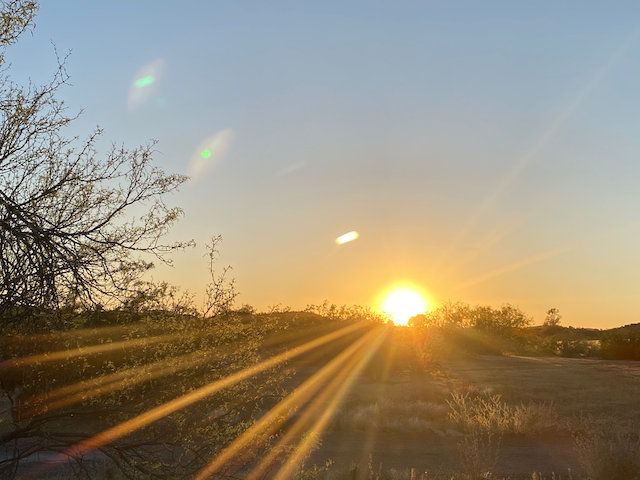 Welcome to Reins of Light