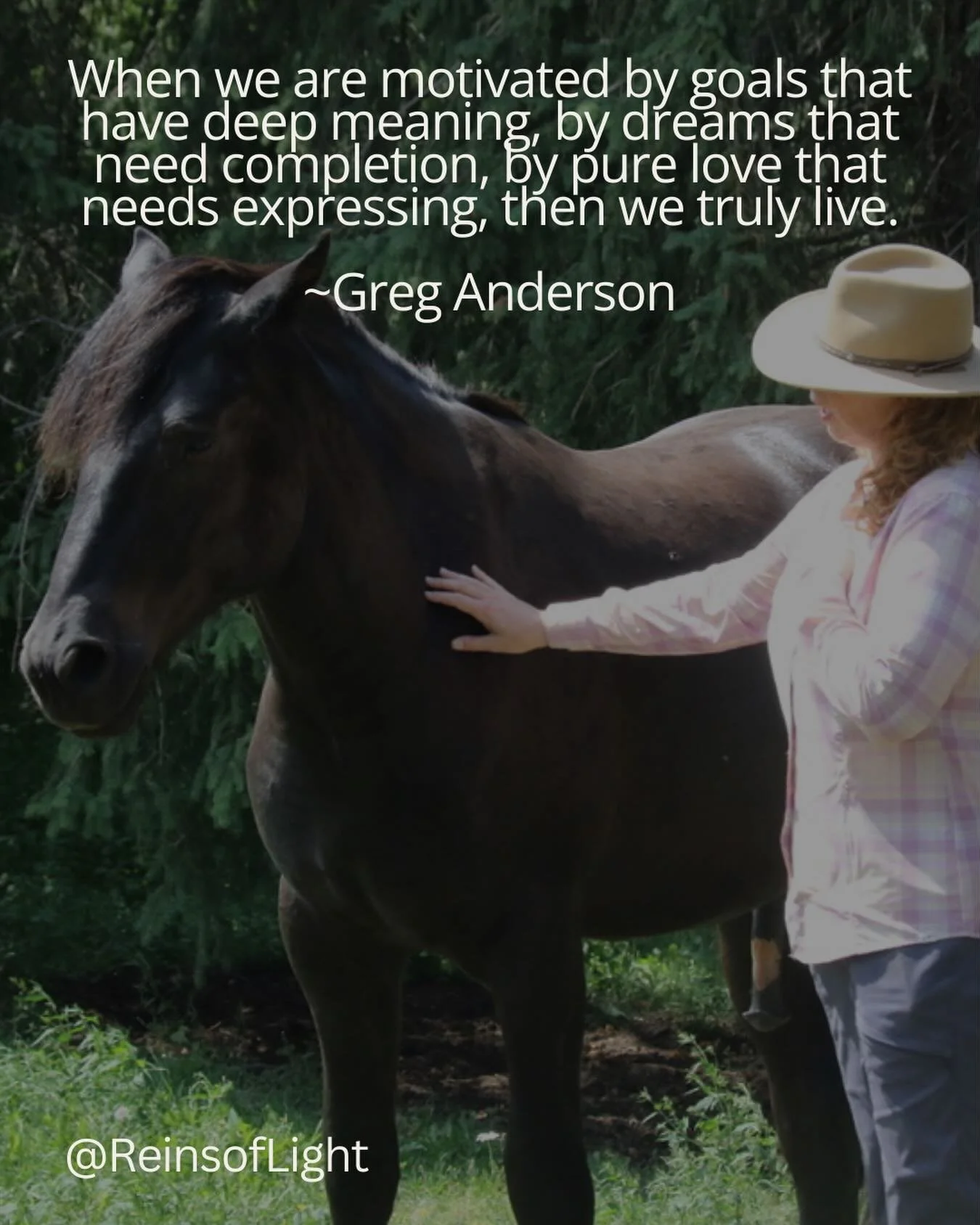 ✨✨🐎 A gentle reminder your dreams and goals are seeds planted from your higher self for a reason&hellip; and I believe in you!

A dream and a vision that I&rsquo;m birthing is keeping me grounded and this quote reminds me to dream and keep goin as m