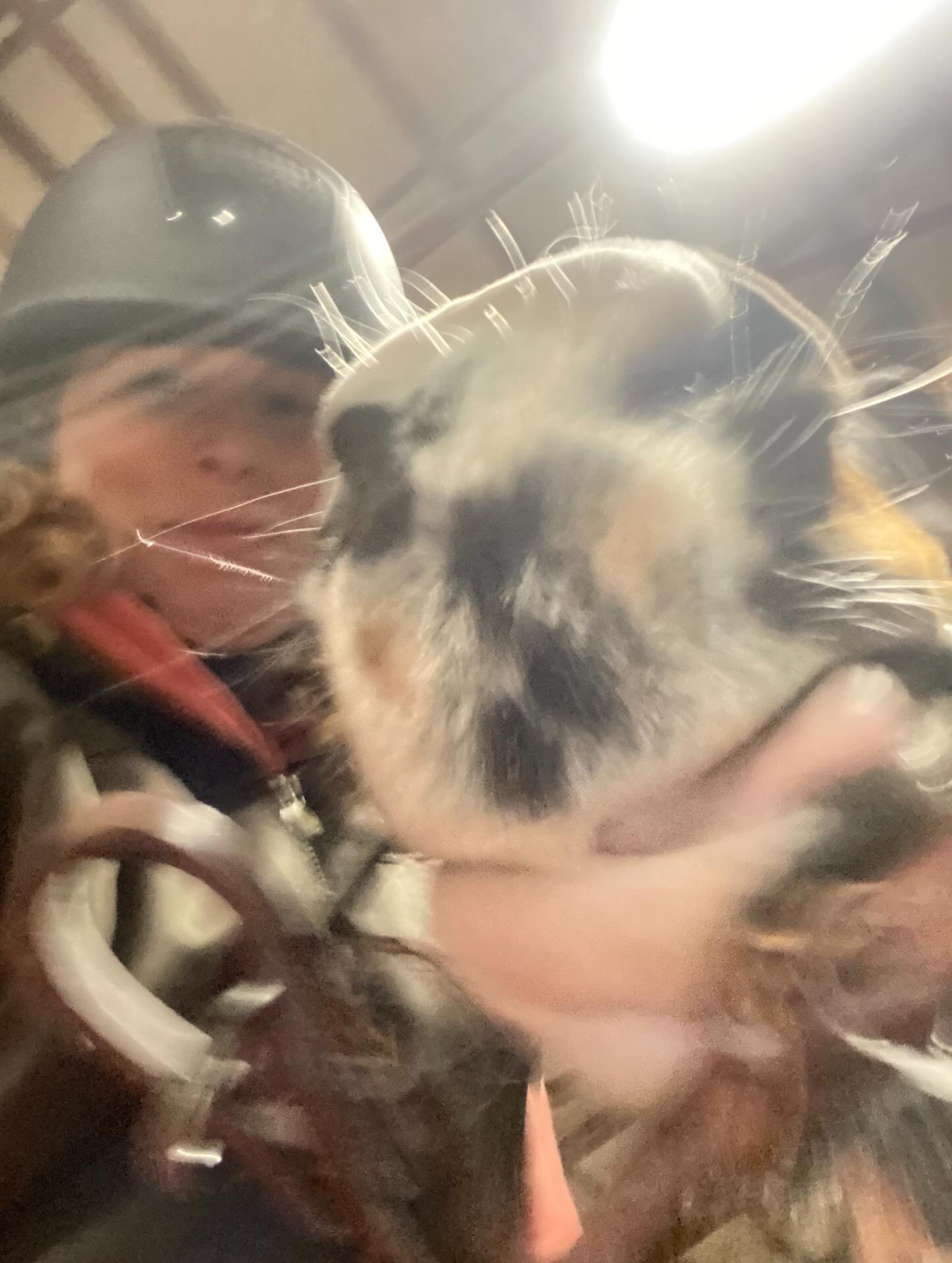 This girl&hellip; the medicine I needed tonight &amp; best way to honor the season of the fire horse ✨✨🐎

I haven&rsquo;t been in the saddle in over a month but the bond, the care and the trust we&rsquo;ve built over time allowed it to feel like it 