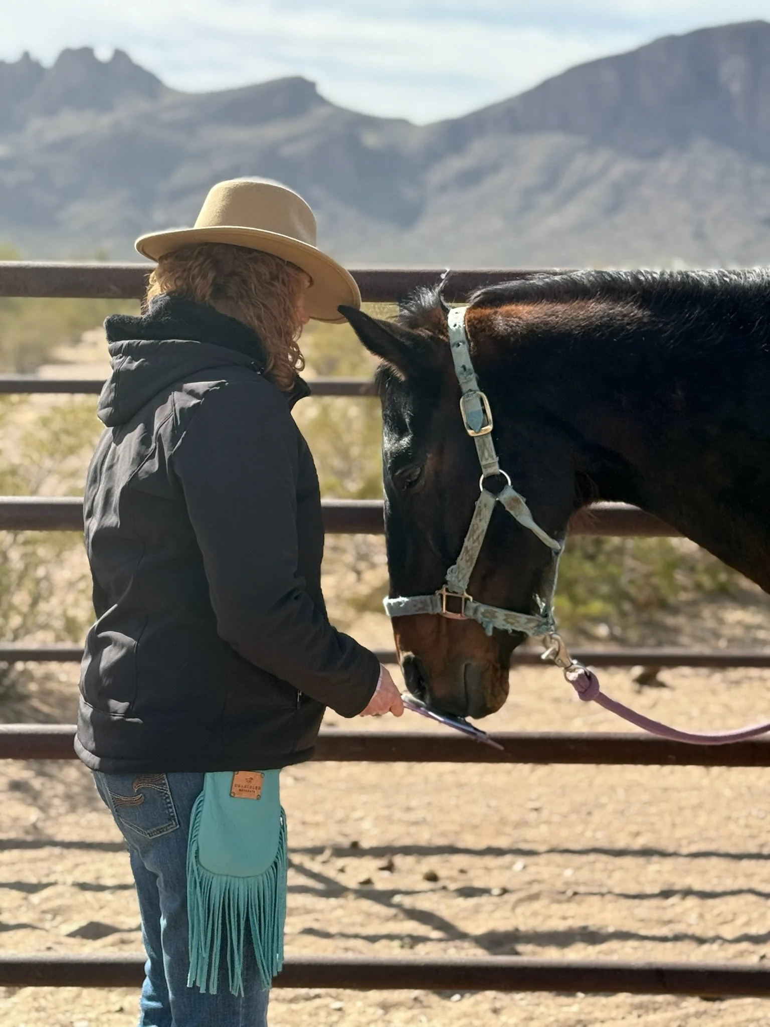 Person in cowboy hat and black jacket feeding a horse through a fence with mountains in the background.