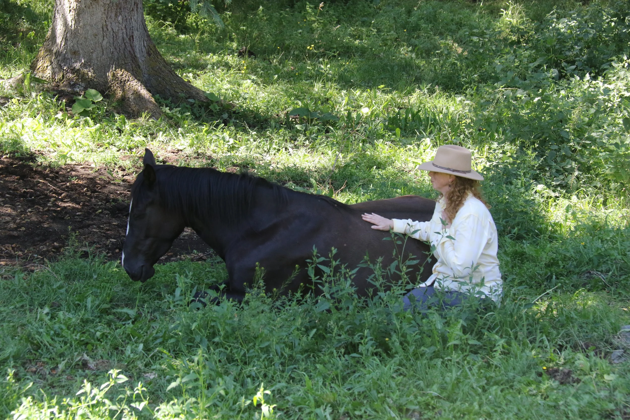 A woman with curly hair wearing a beige wide-brim hat and a white long-sleeve shirt sitting on grass, gently touching a black horse lying on the ground near a tree with green foliage, in a lush outdoor setting.