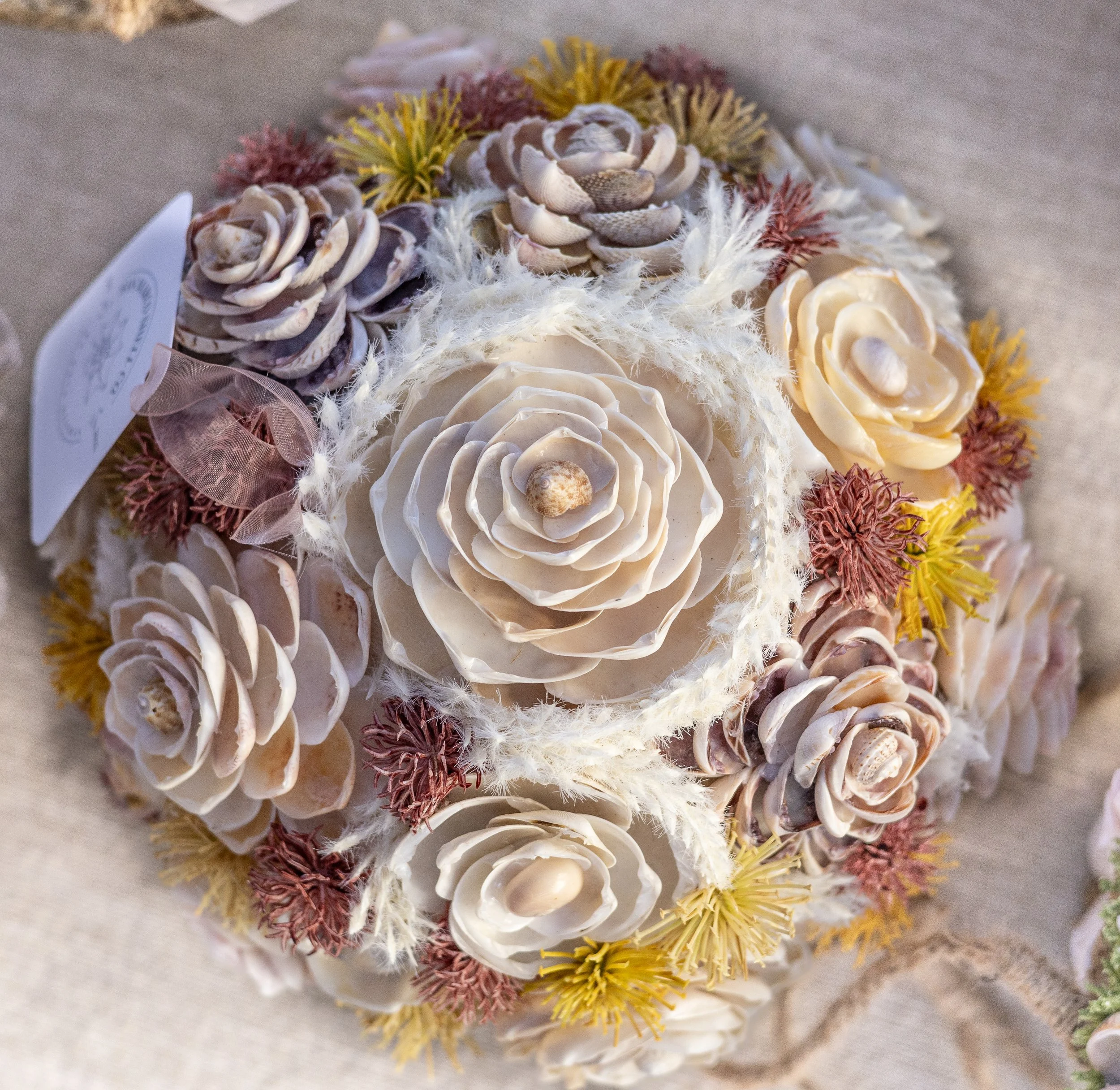 San Marco Shell Co-3.jpg