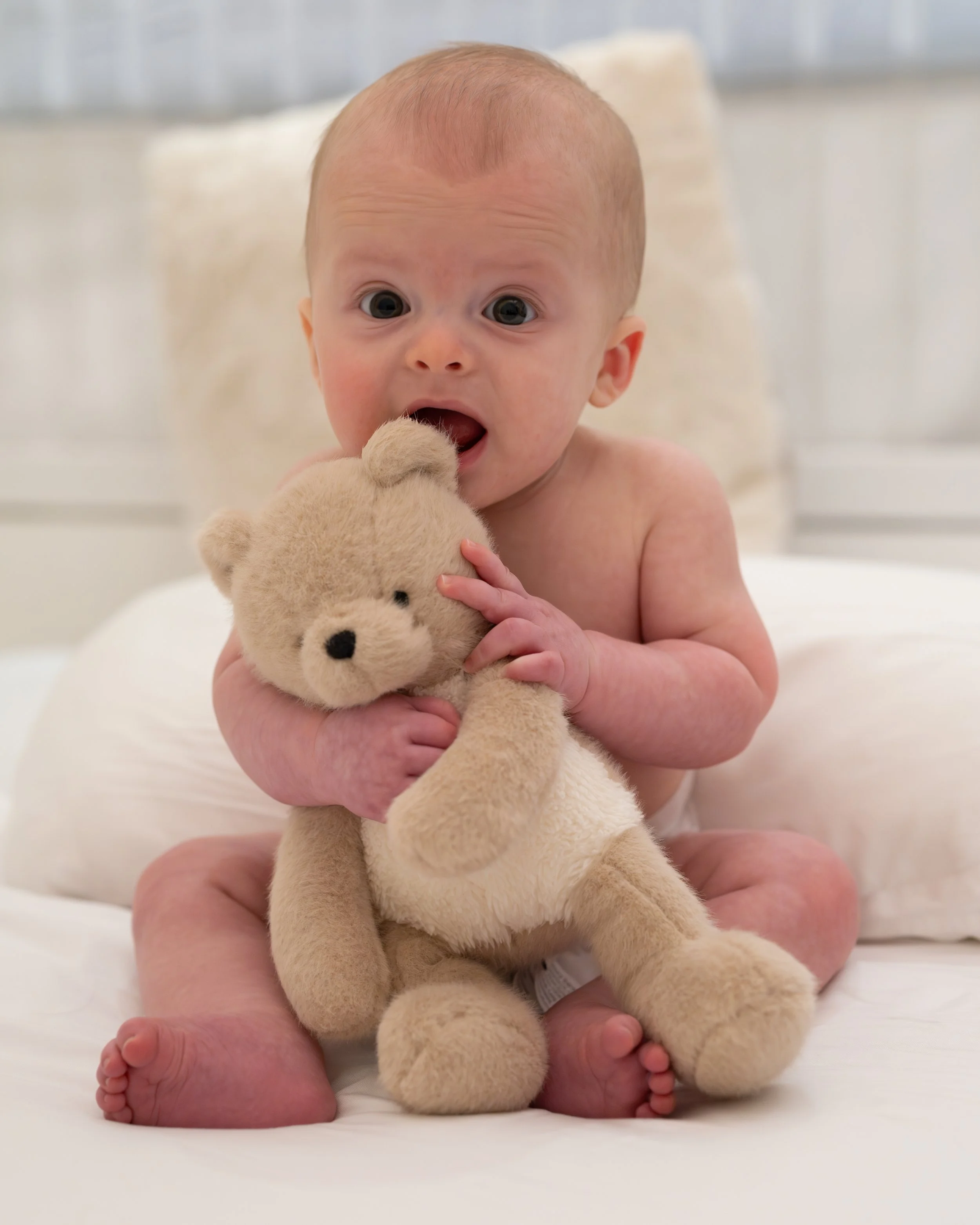 first year photographyt packages available newborn fresh 48 6 months and 1 year