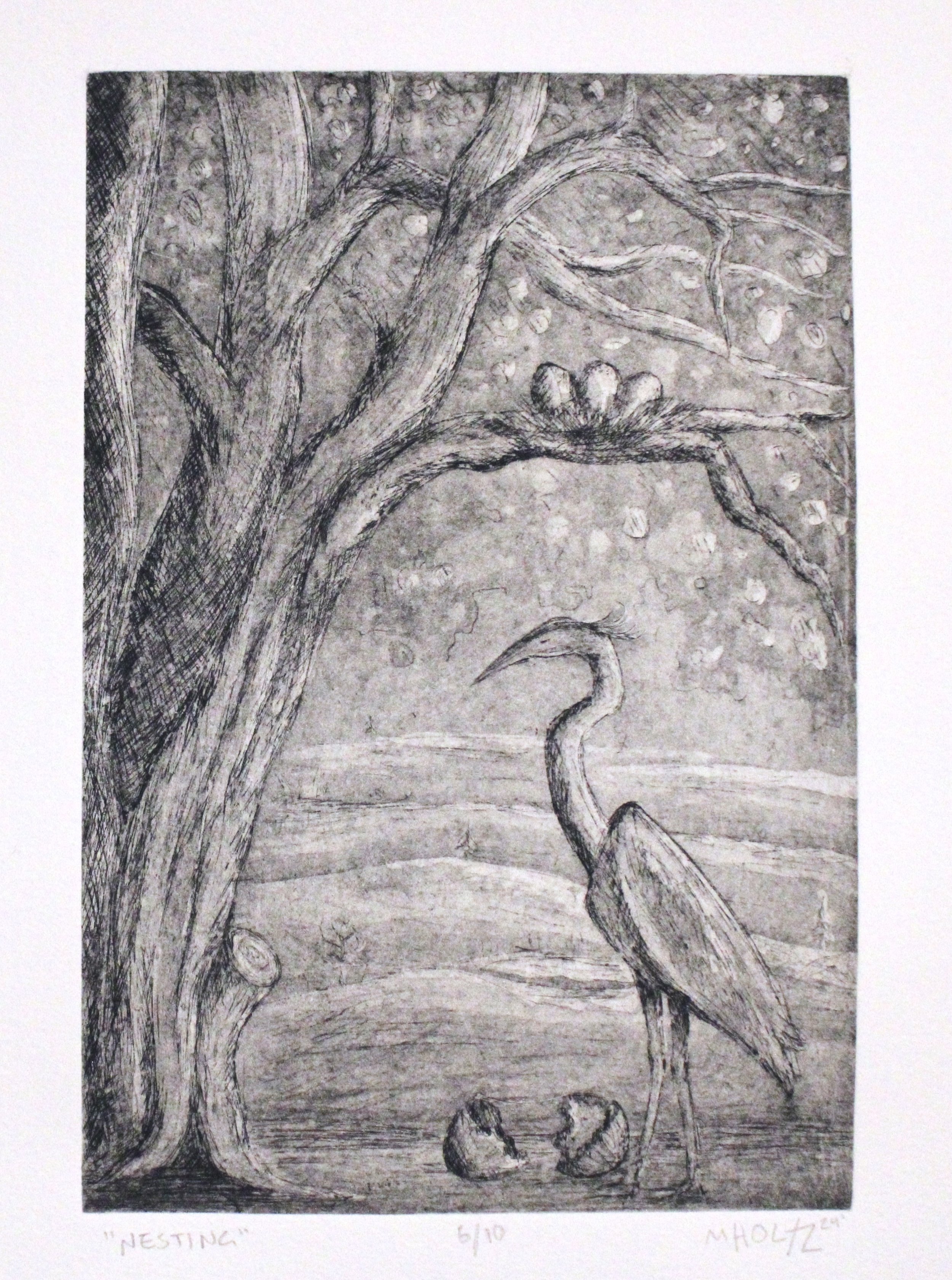 "Nesting" Etching and aquatint, 6"x9", 2024.  