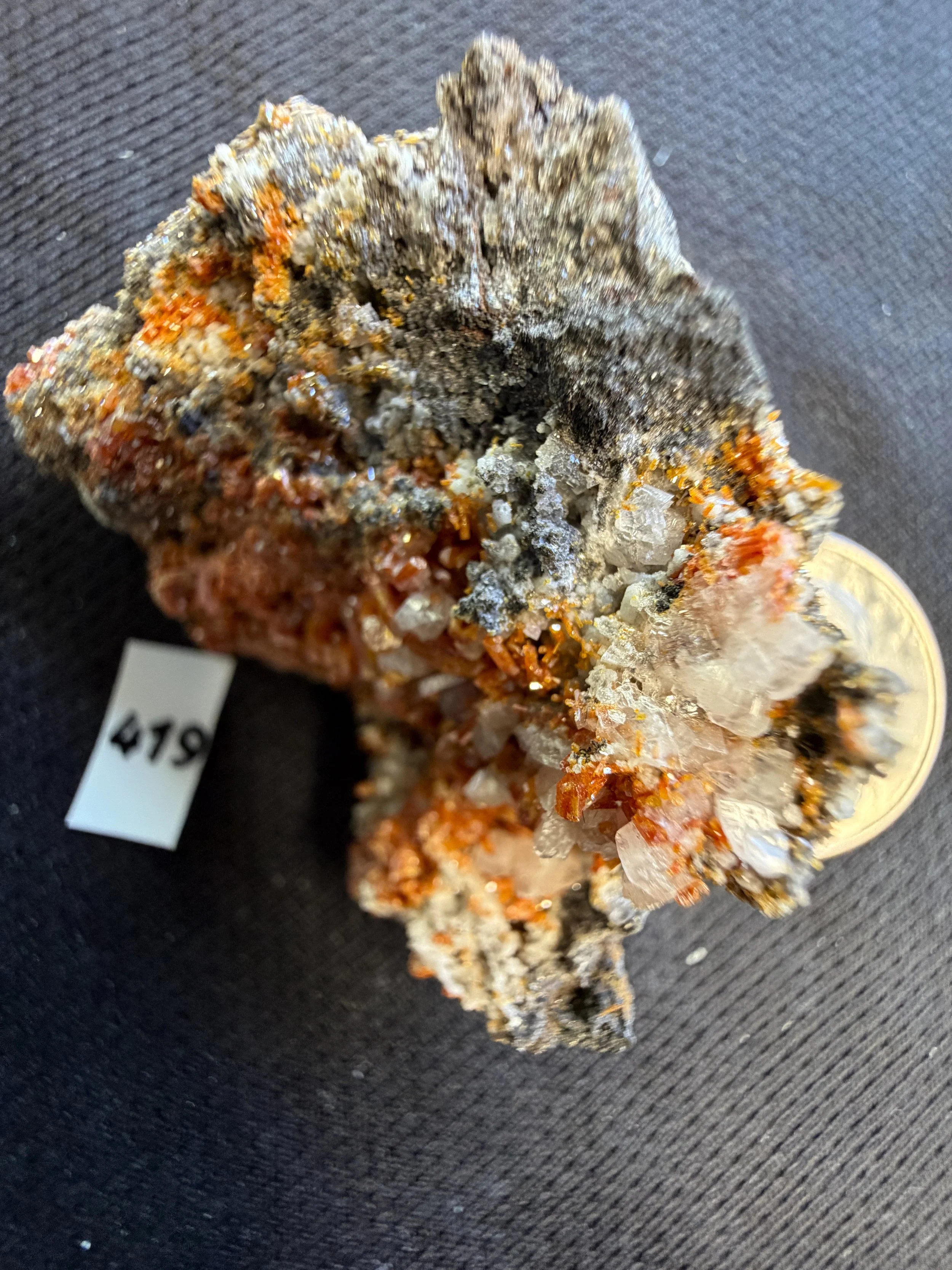 A vibrant and eye-catching vanadinite cluster featuring dense coatings of fiery orange-red hexagonal crystals scattered across a dark, contrasting matrix