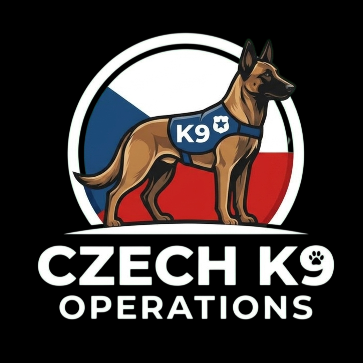 CDPEM