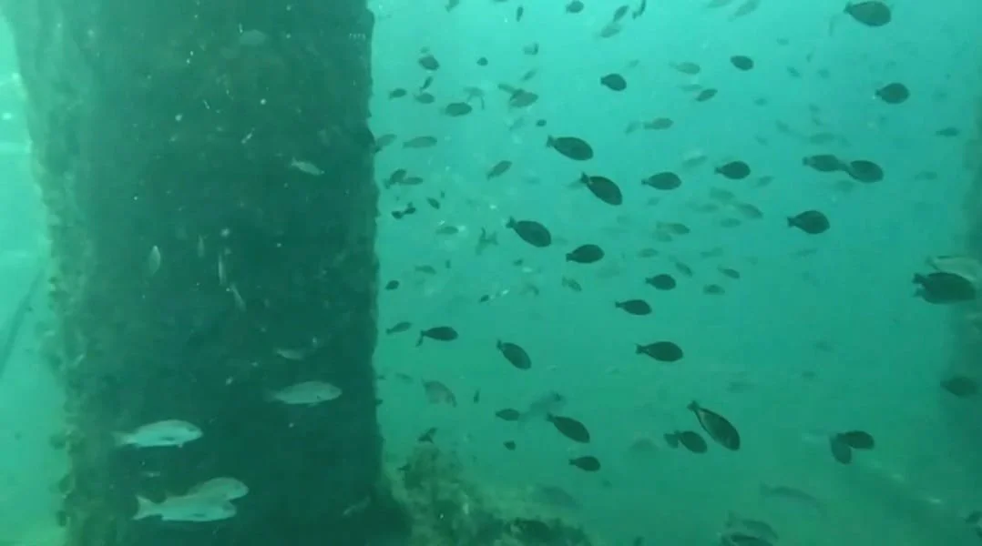 WhatsApp Image 2025-11-05 at 10.38.32.jpeg