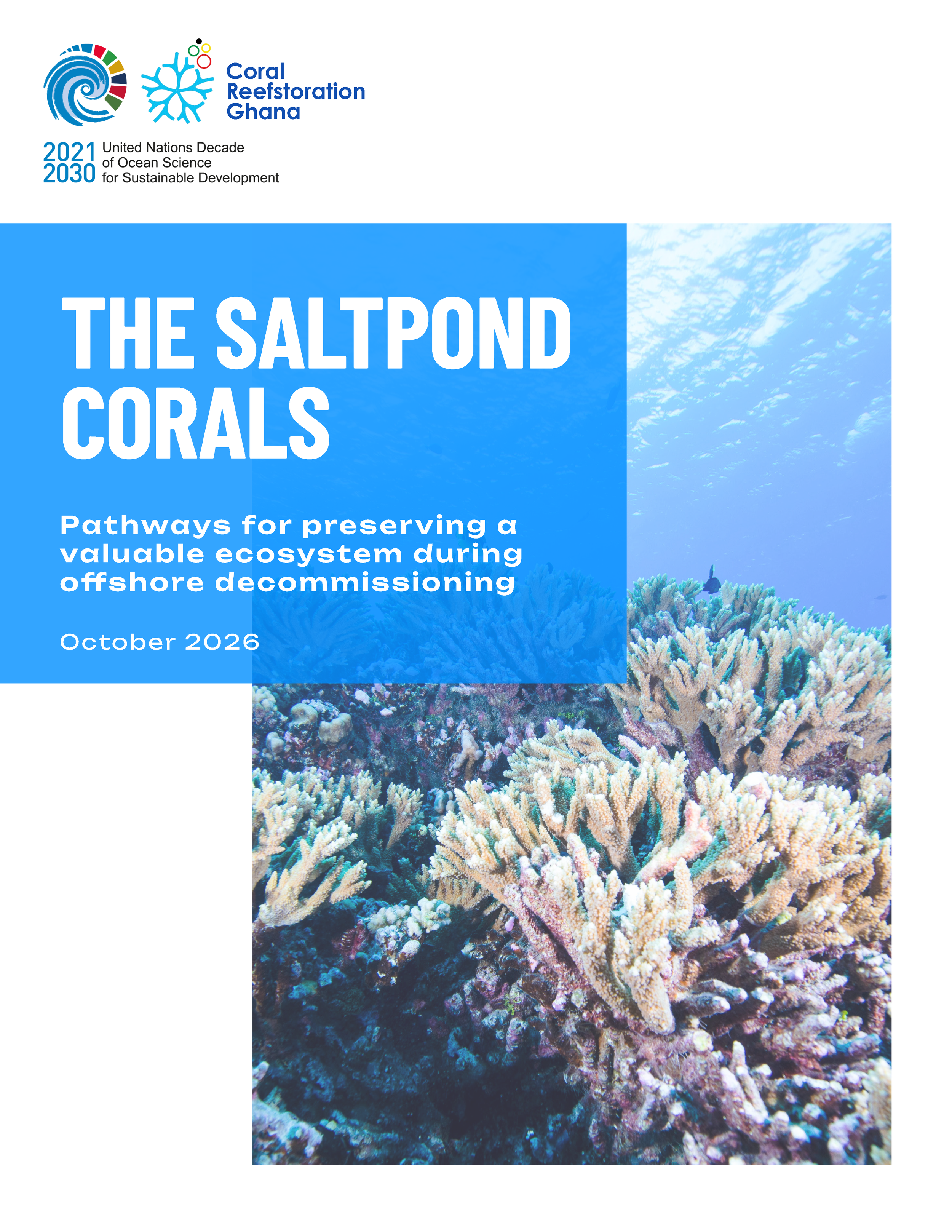Saltpond Corals Report Cover