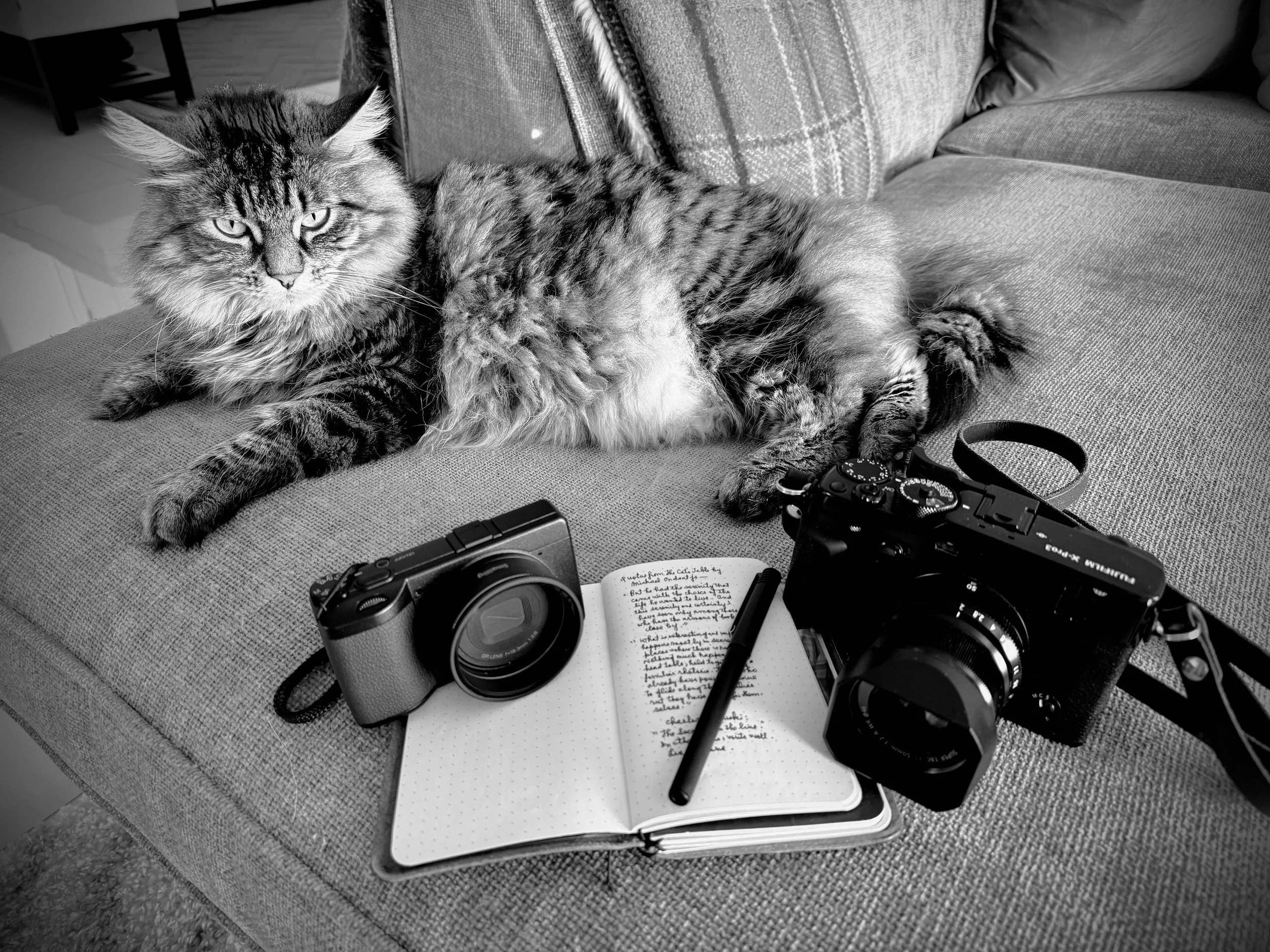 A Walk With a Camera