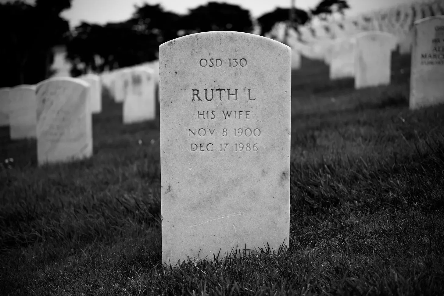 A Way of Keeping Yourself Alive