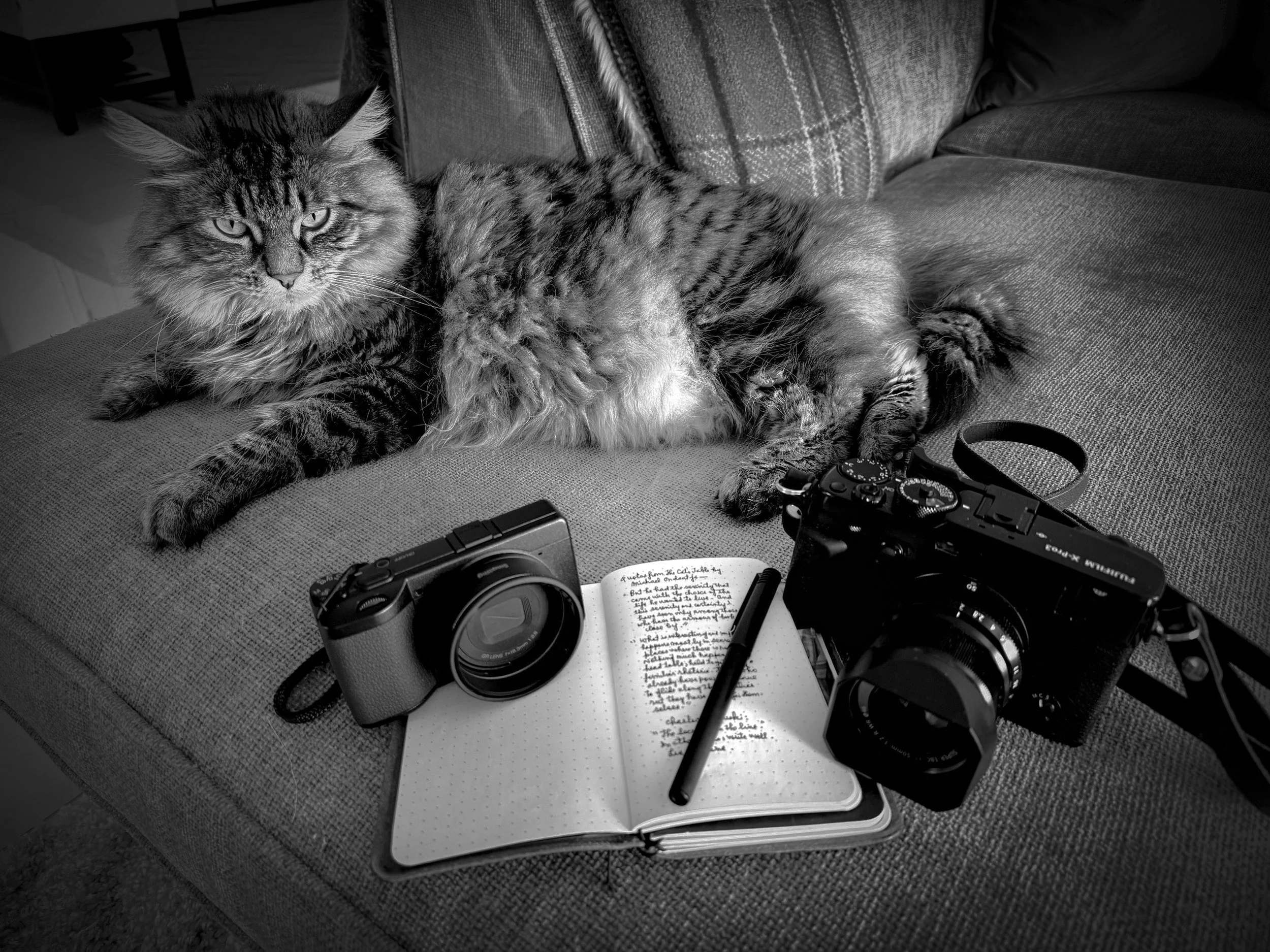 Black and white photo of a cat reclining beside two small rangefinder cameras and a notebook with pen.