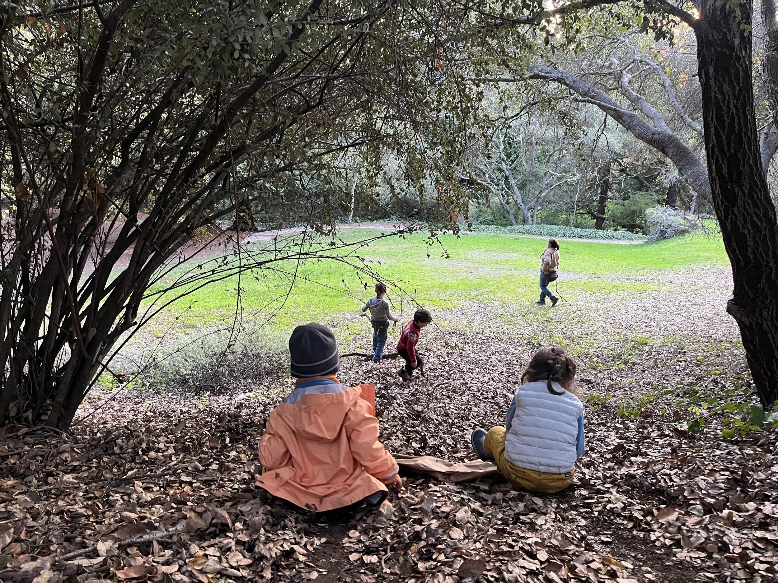 FALL - OTOÑO session enrolling now!