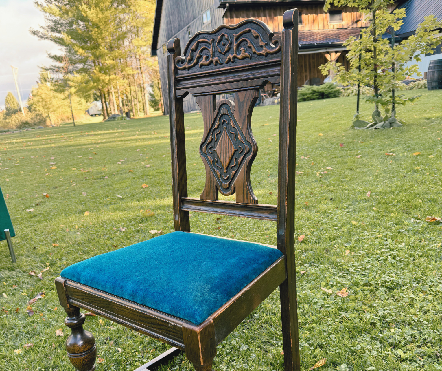 Blue Velvet Dining Chairs 2.png