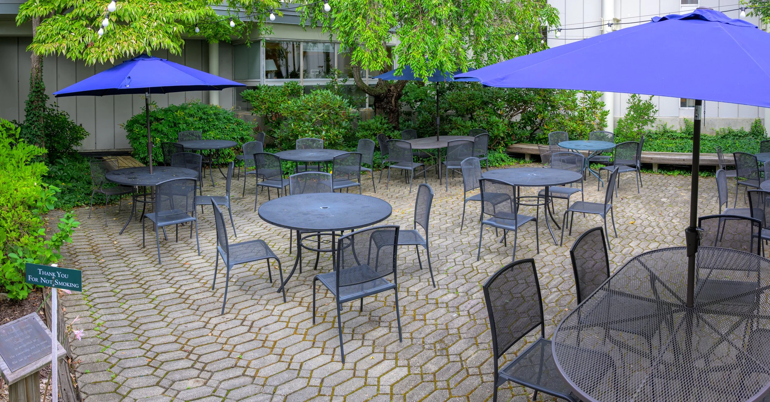 Outdoor patio with metal tables and chairs, some shaded by blue umbrellas, surrounded by green plants and trees.