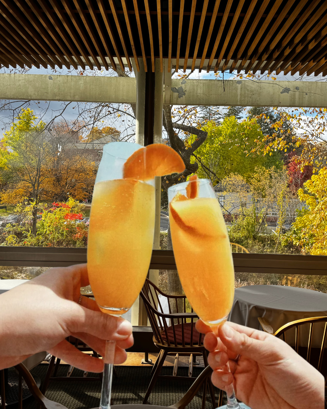 Two glasses of orange-colored drinks with orange slices and garnishes, held up against a window with trees in autumn foliage outside.