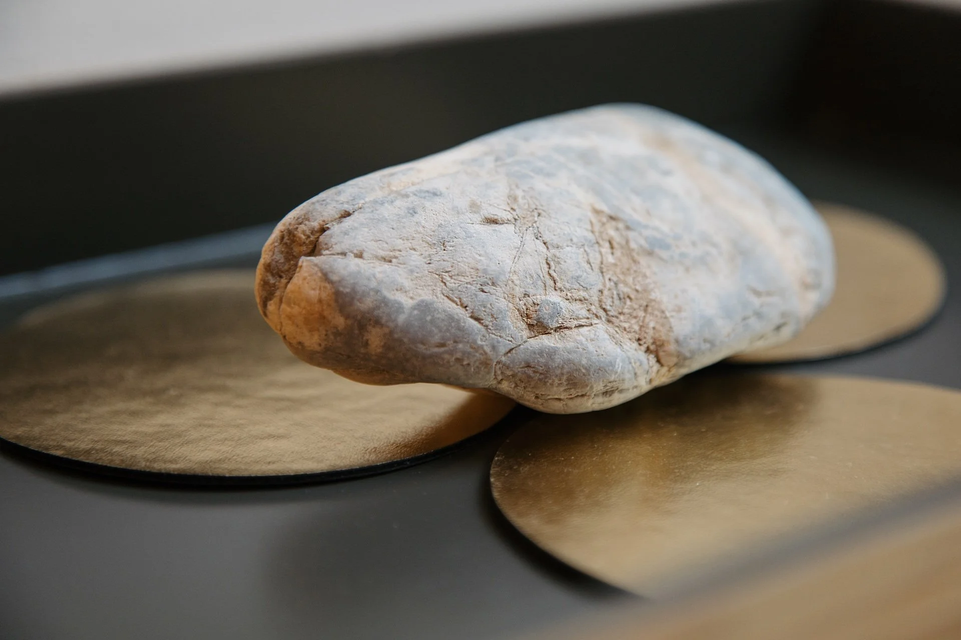 CONSTANZERUTHFOTOGRAFIE_BEARBEITET_COLOR-9374 verkleinert.jpg