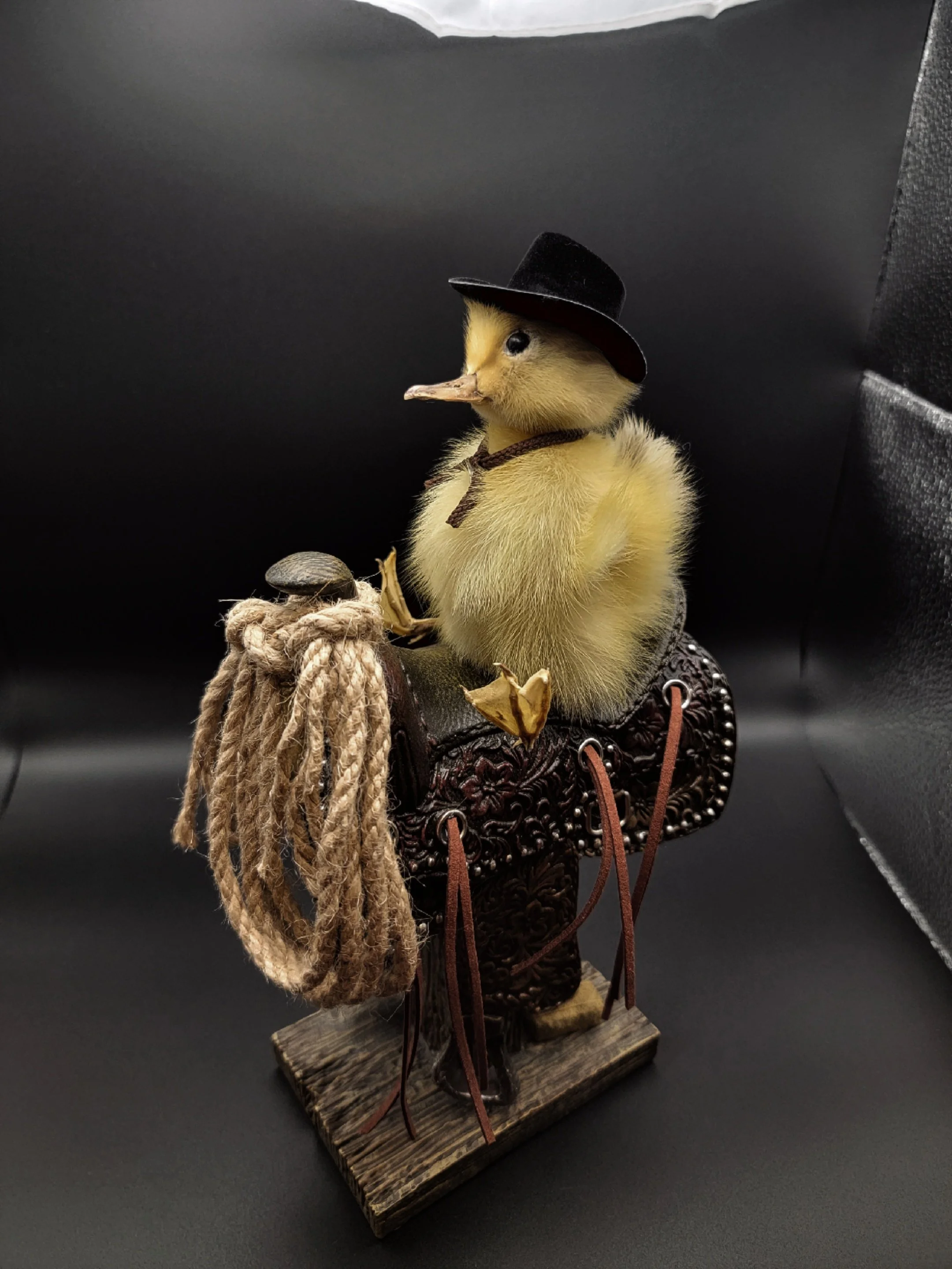 yellowcowduck.jpg