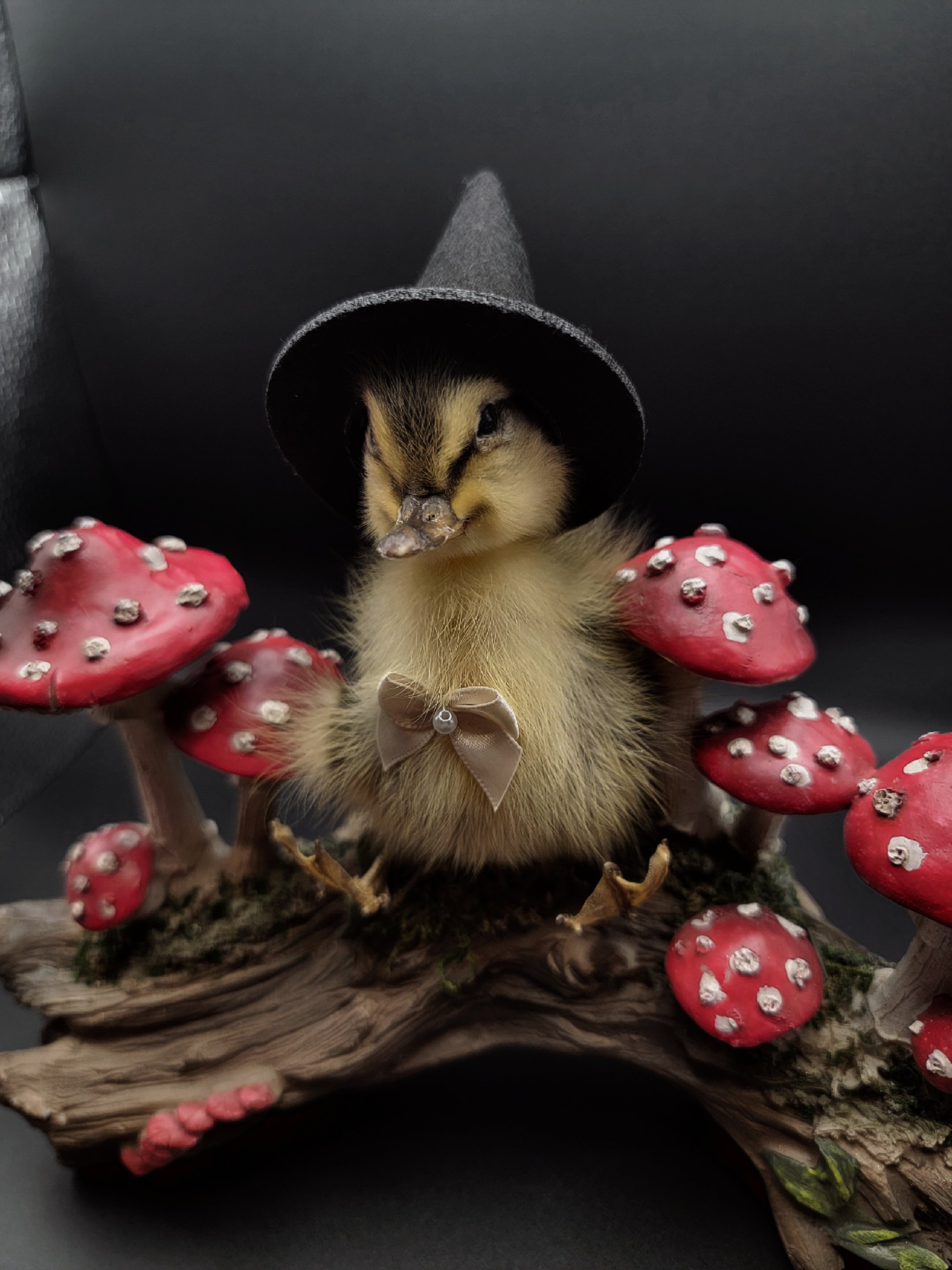 witchduckrooms3.jpg