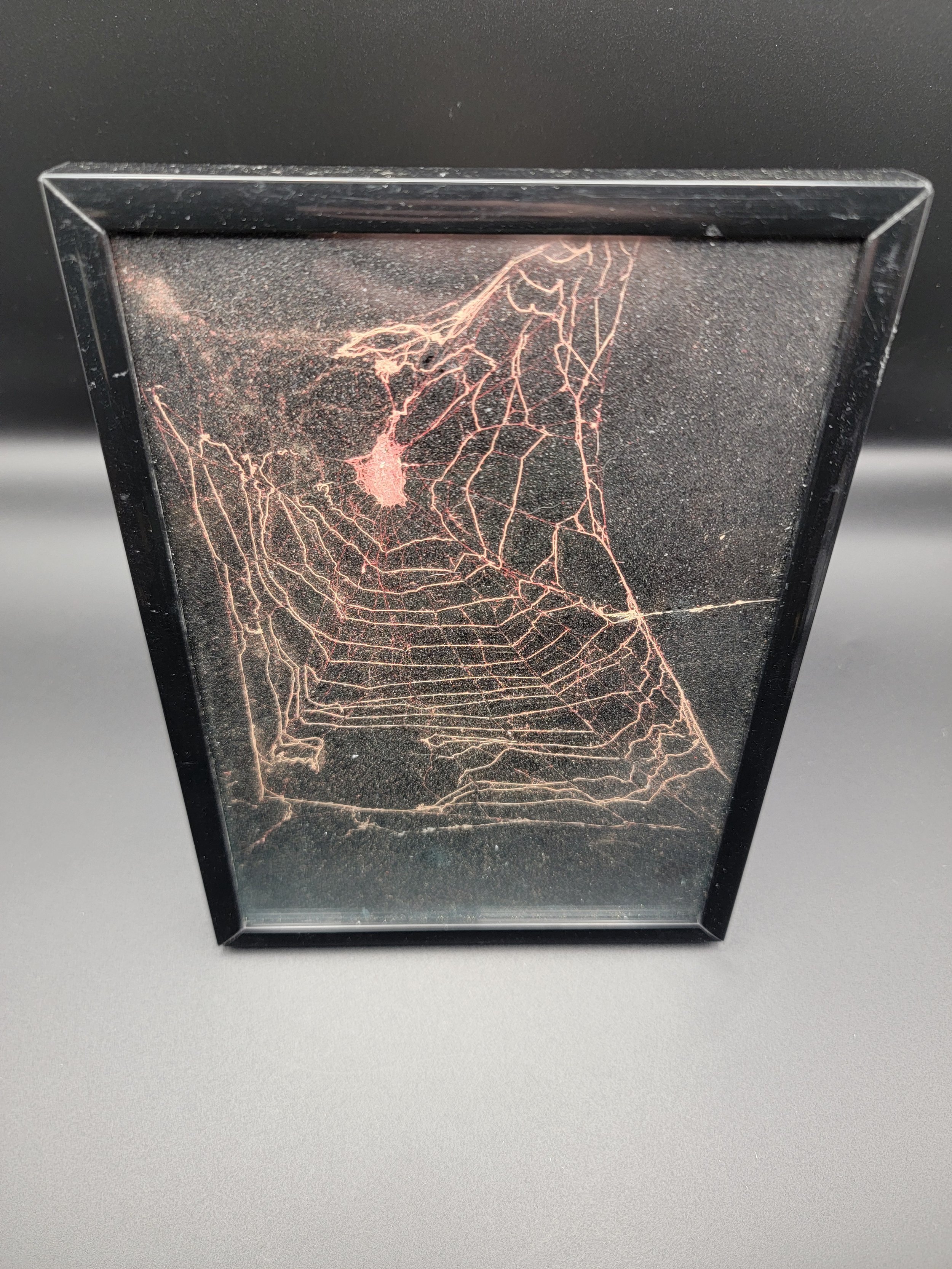 Large framed spiderwebs