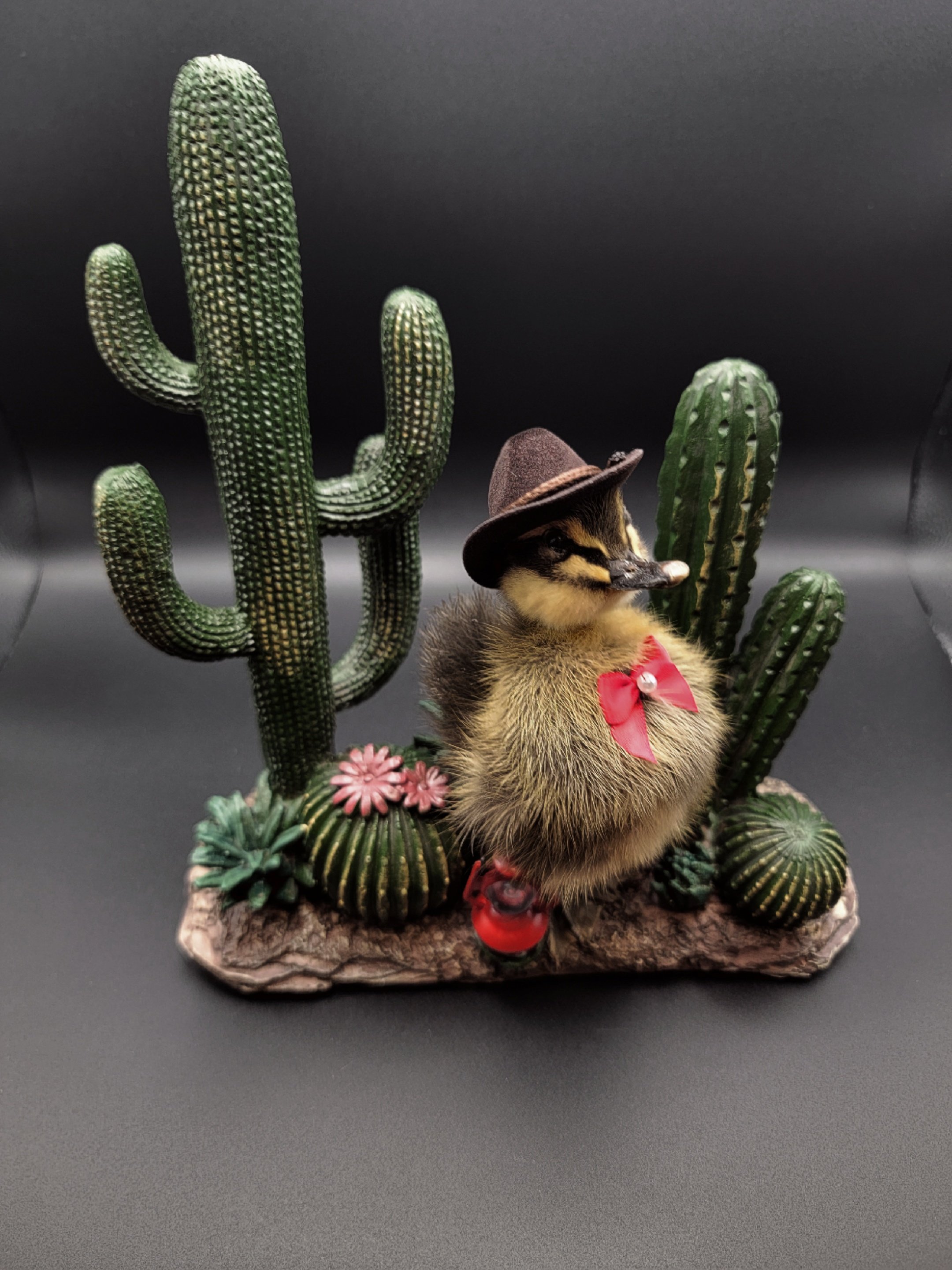 Taxidermy Duckling Western with Cactus
