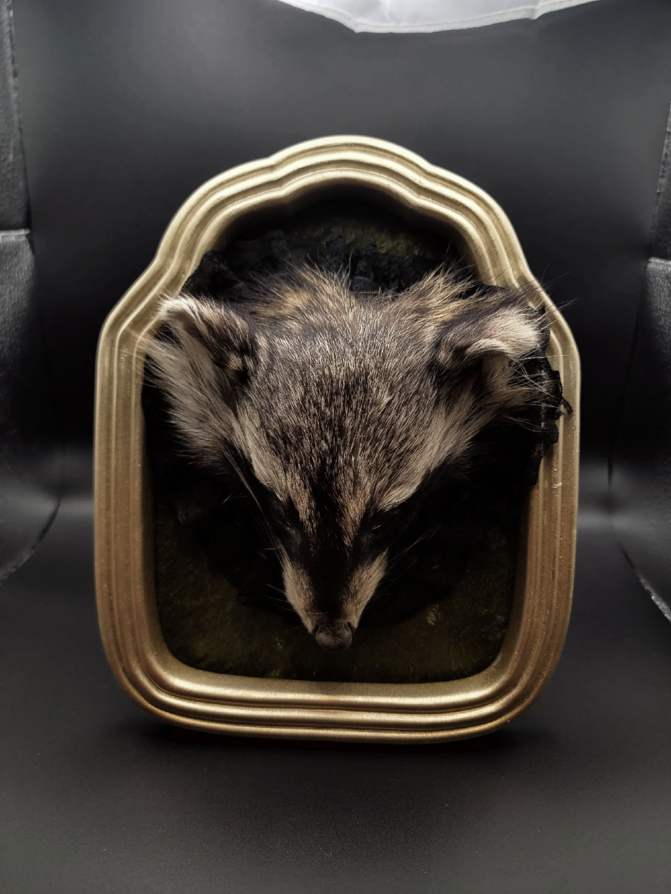 raccoonheadgold9.jpg