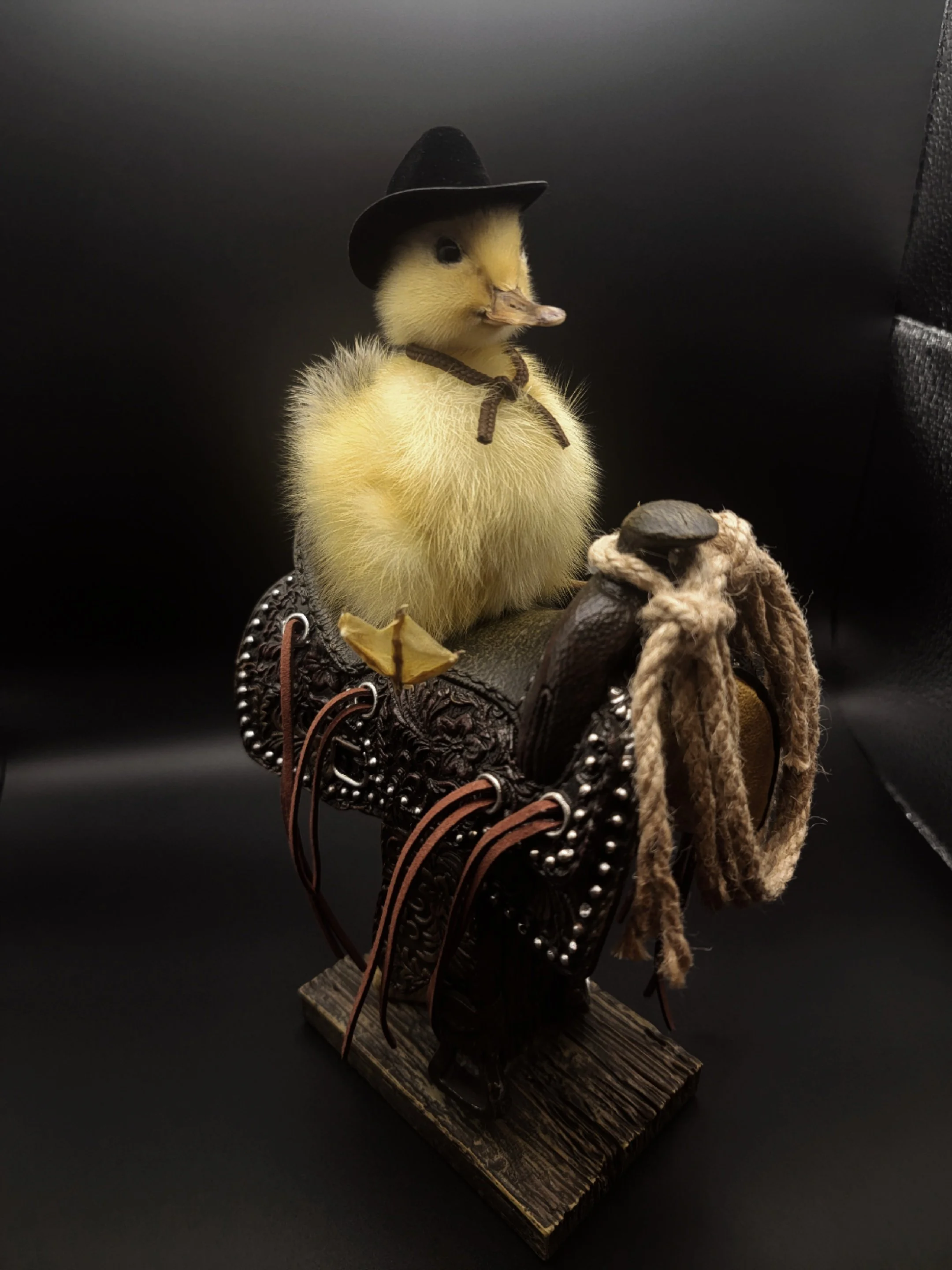 Taxidermy Cowboy Duckling
