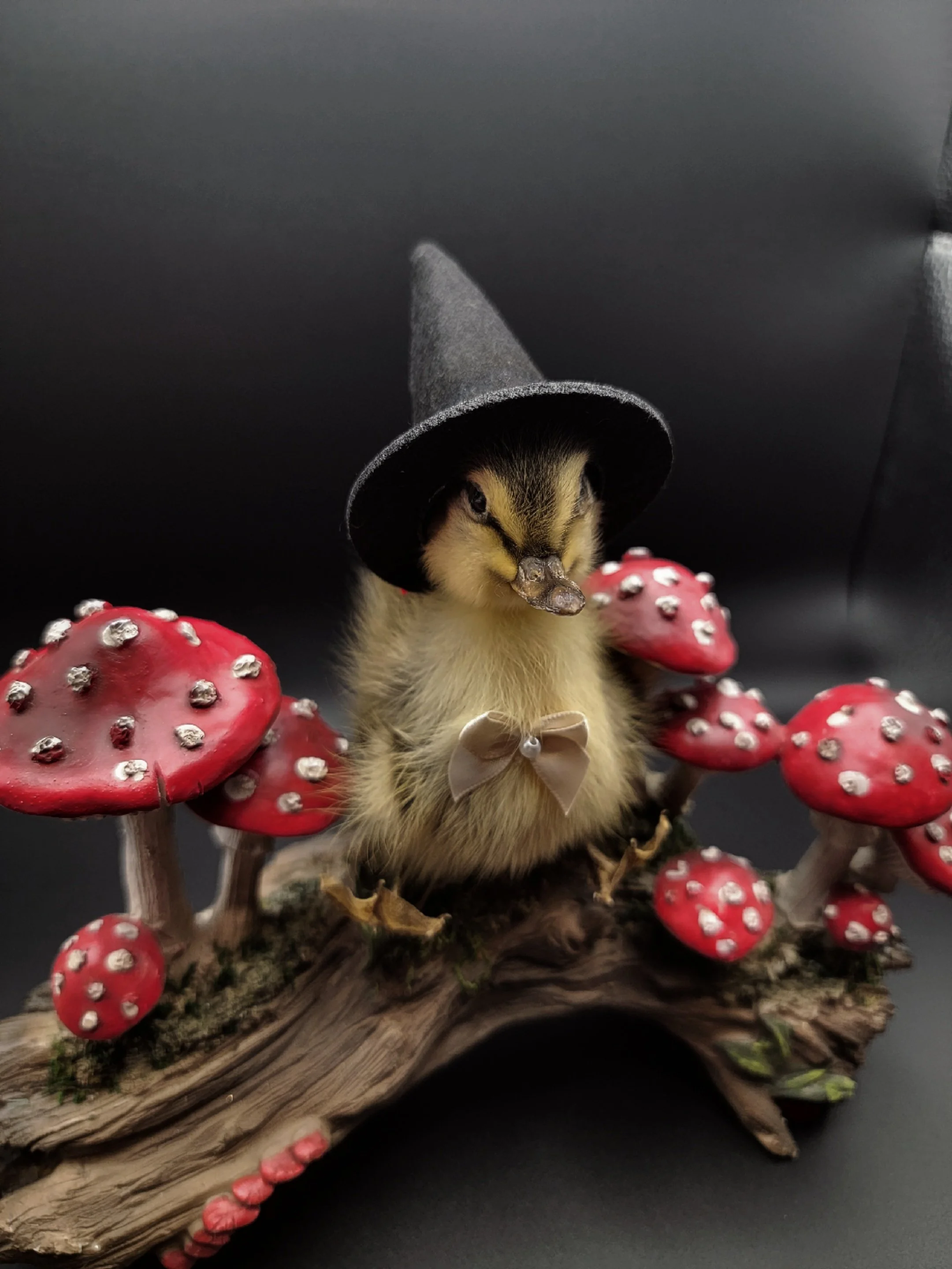 witchduckrooms1.jpg