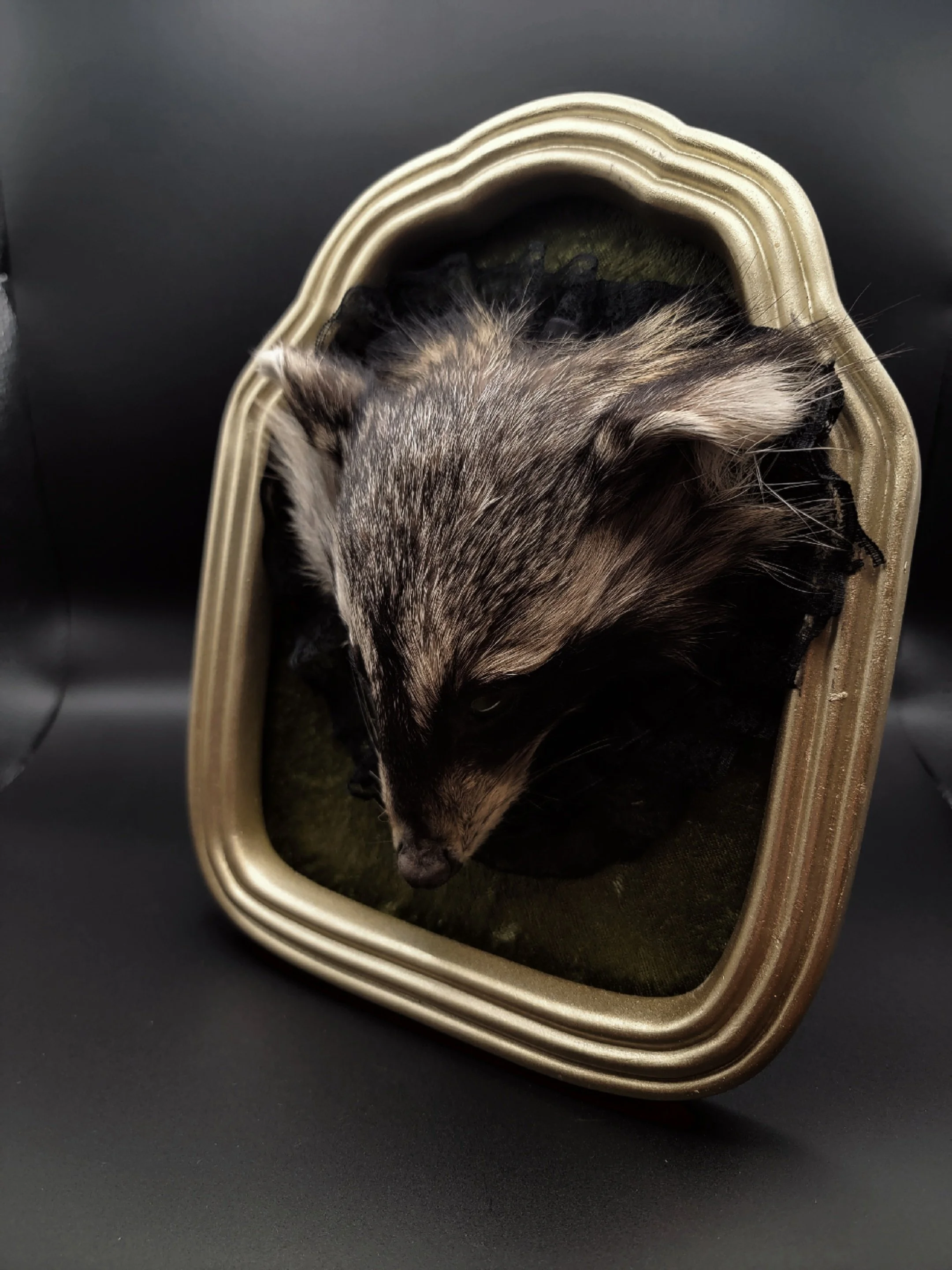 raccoonheadgold1.jpg