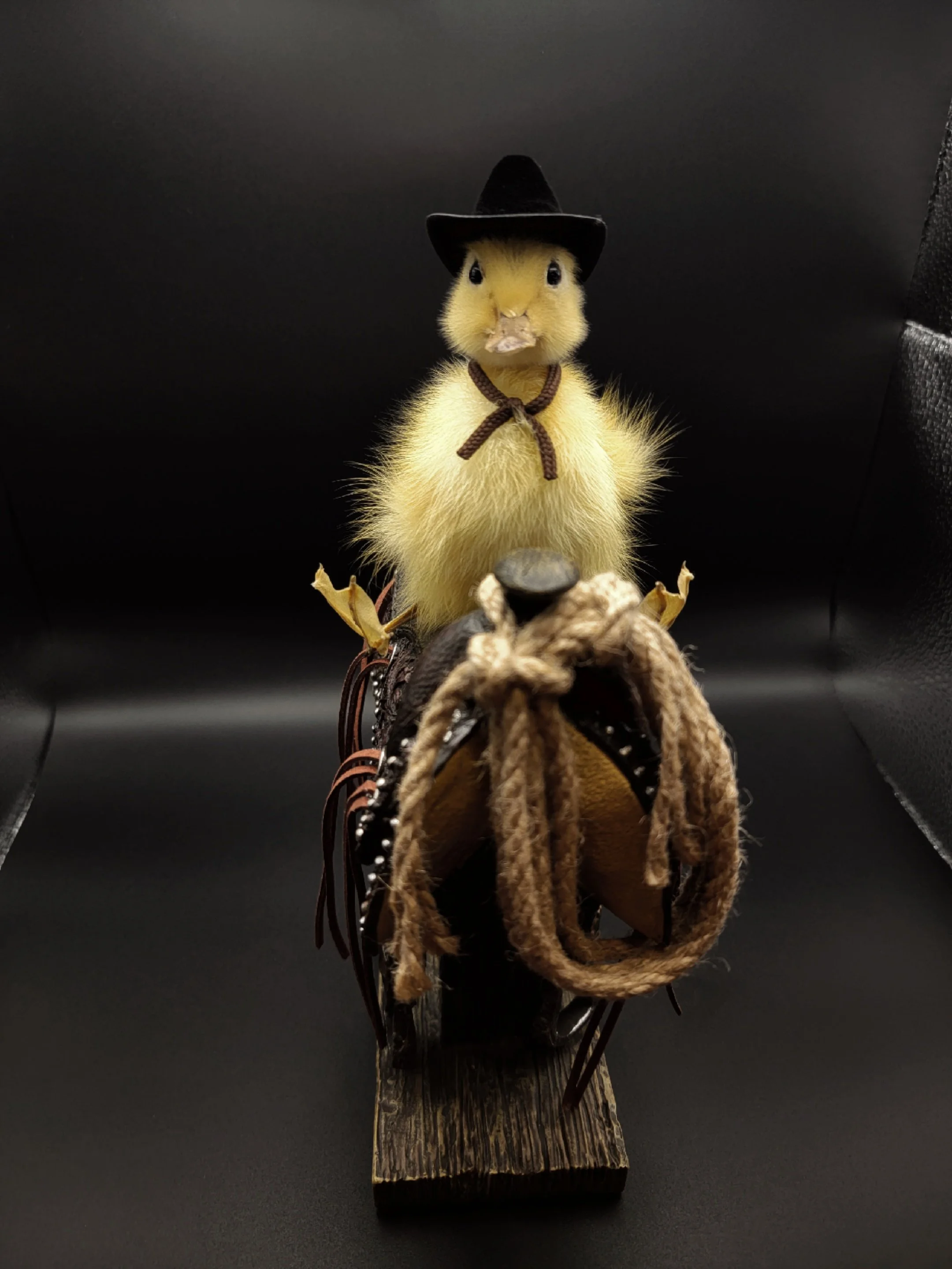 yellowduckcow5.jpg