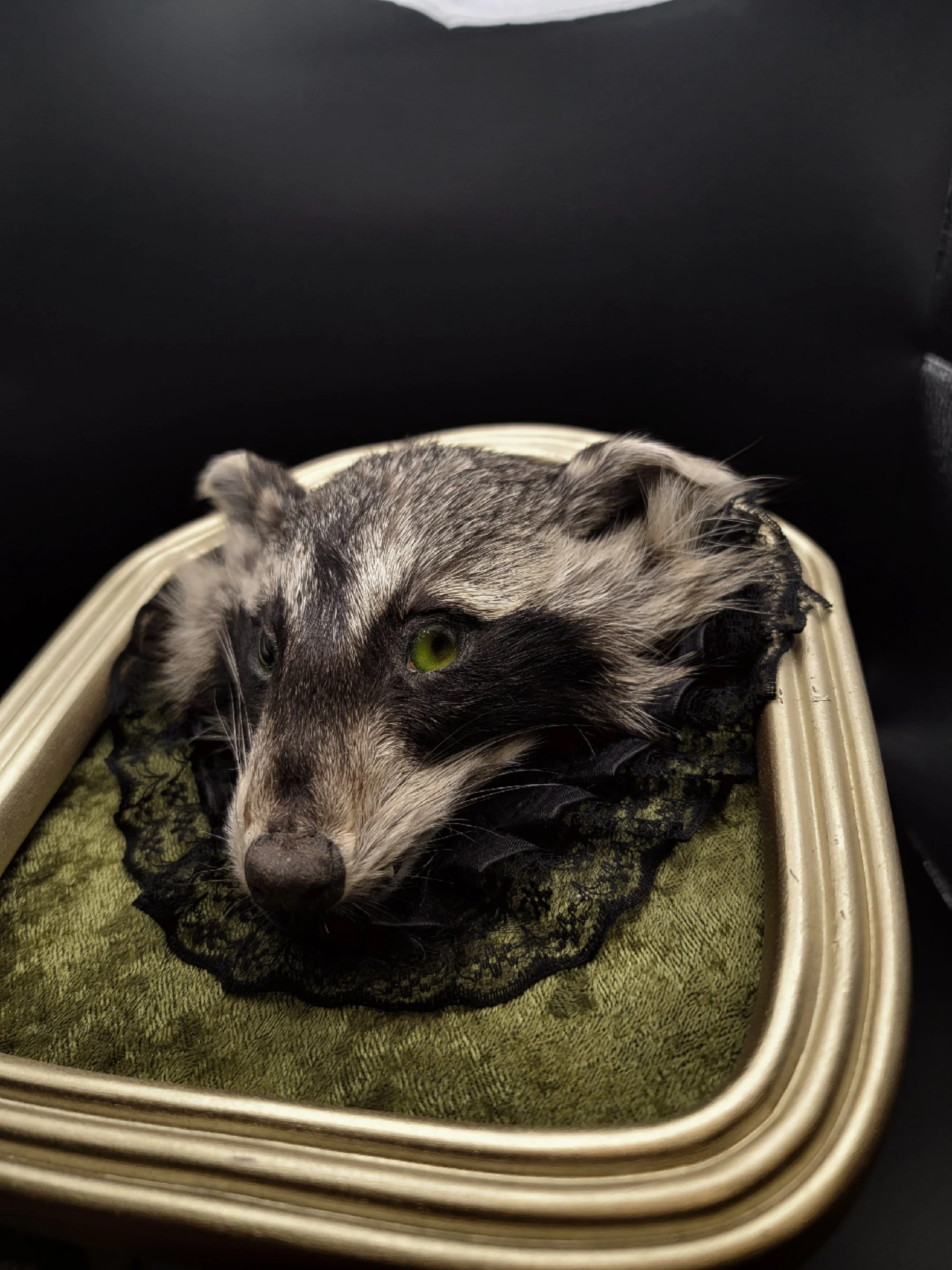 raccoonheadgold8.jpg