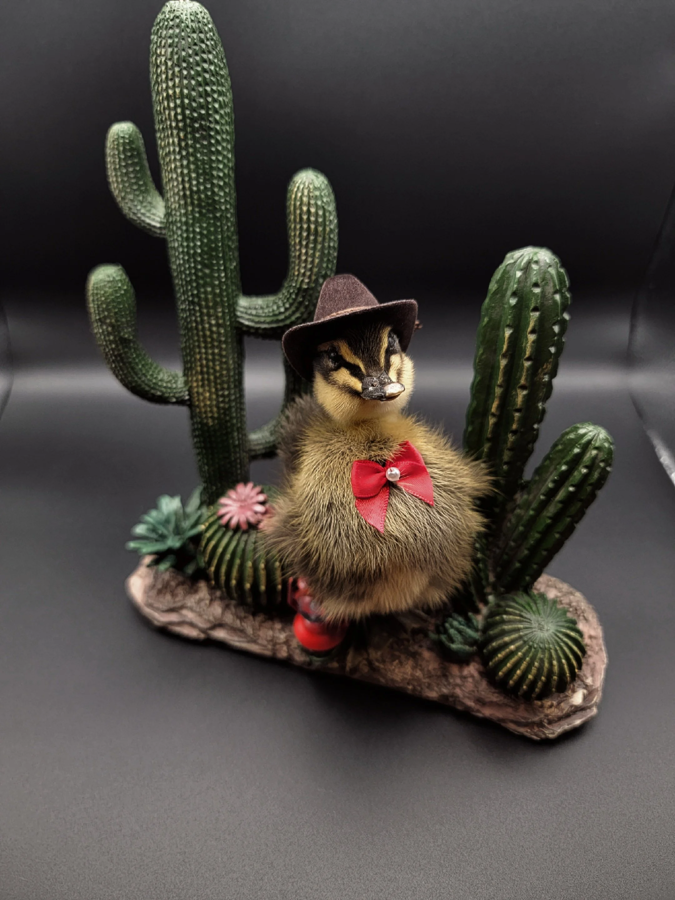 cactiduck4.jpg