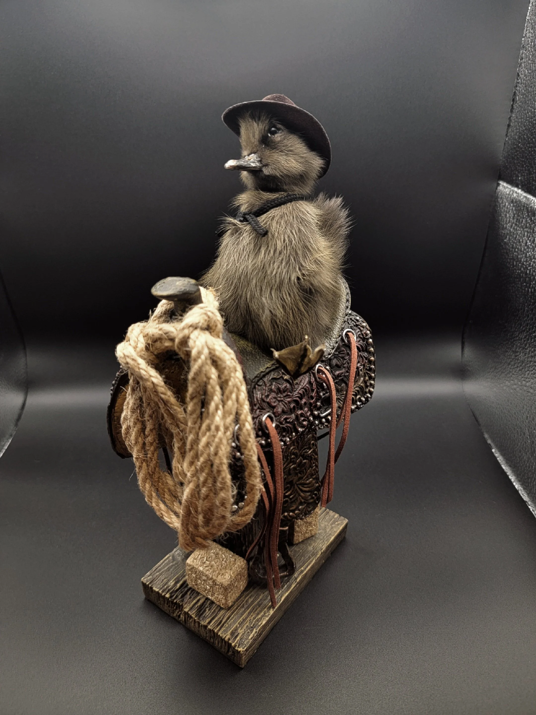 browncowduck3.jpg