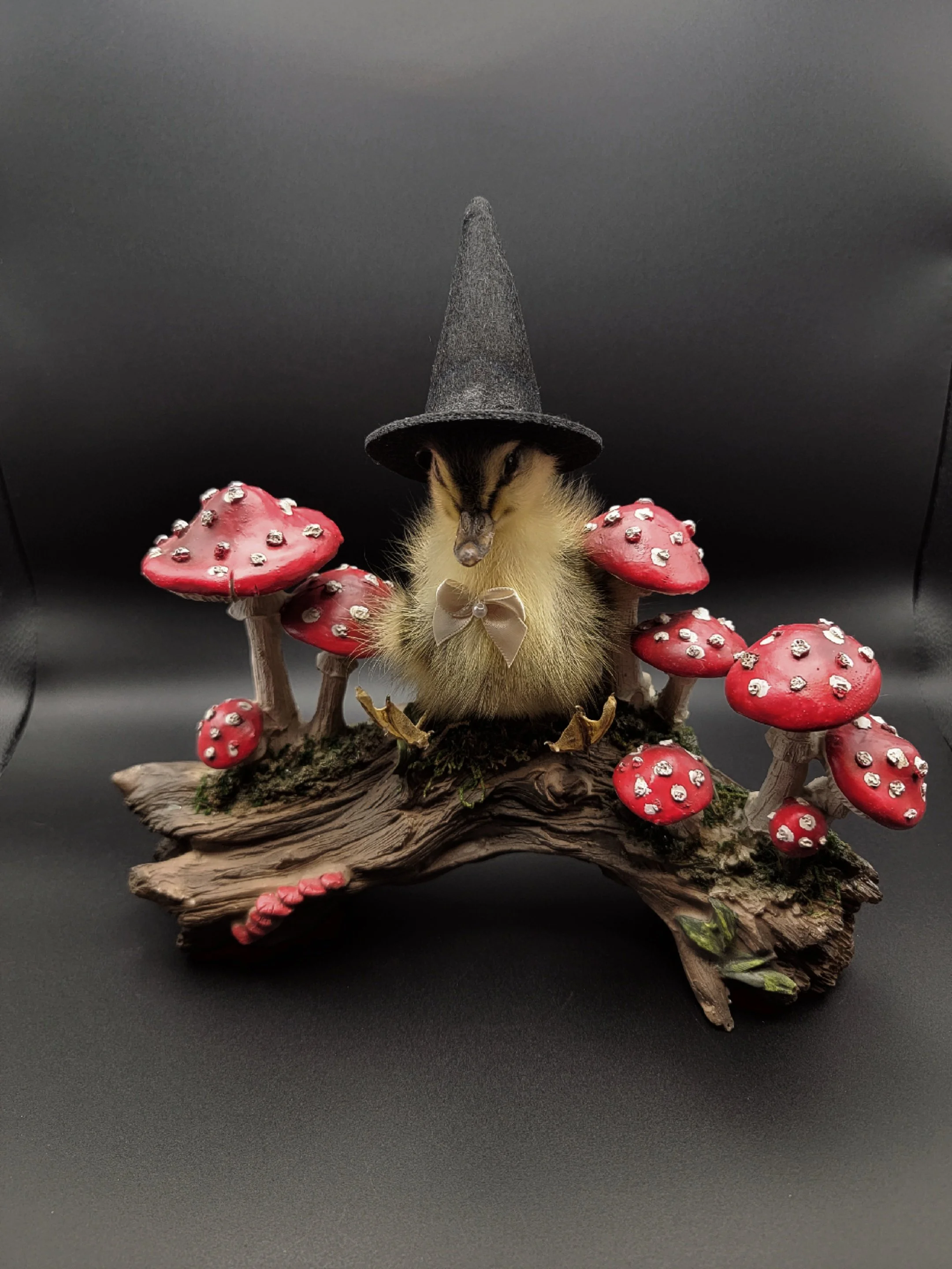 Taxidermy Witchy Duckling Sitting on Mushrooms