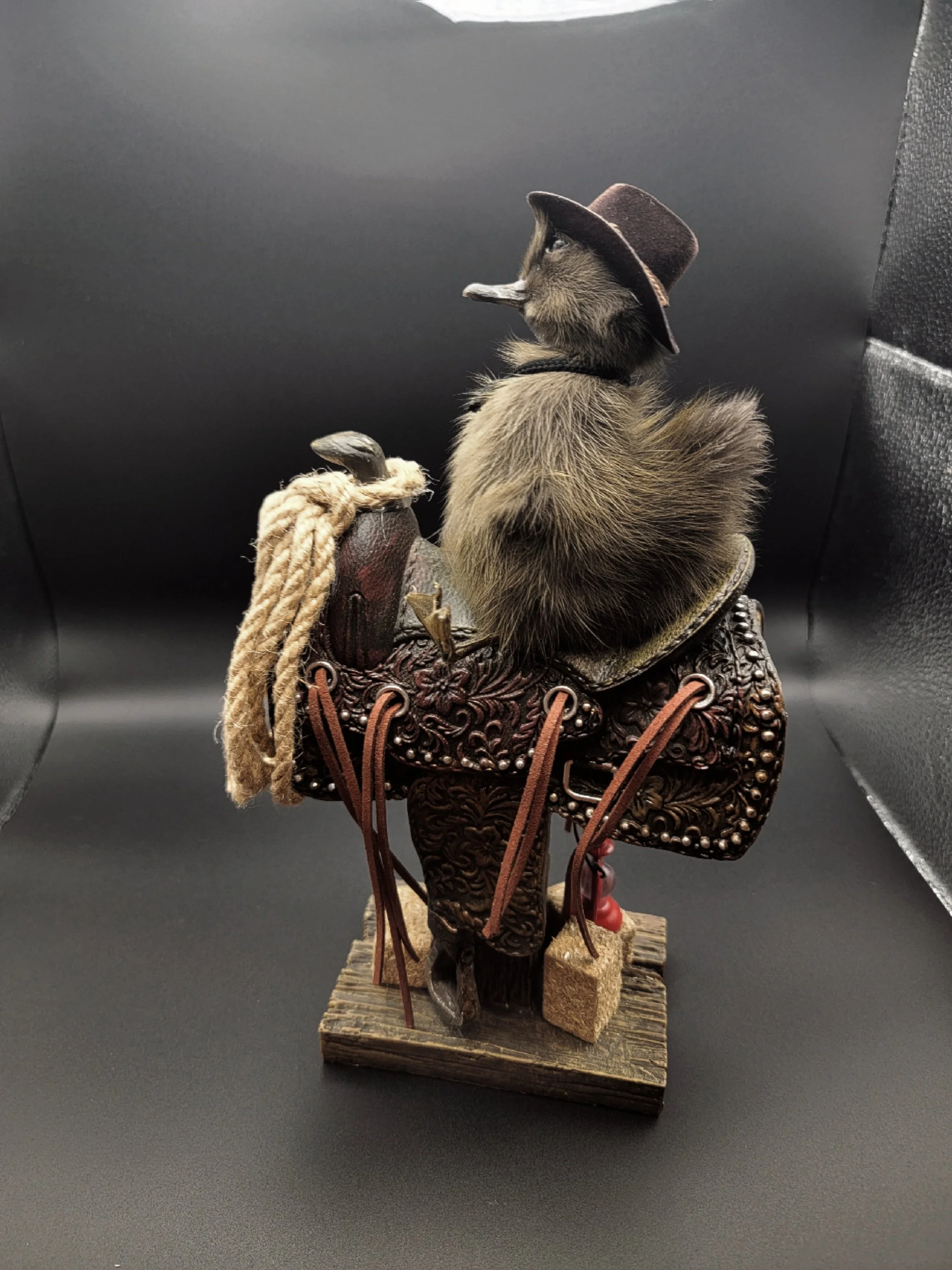browncowduck6.jpg