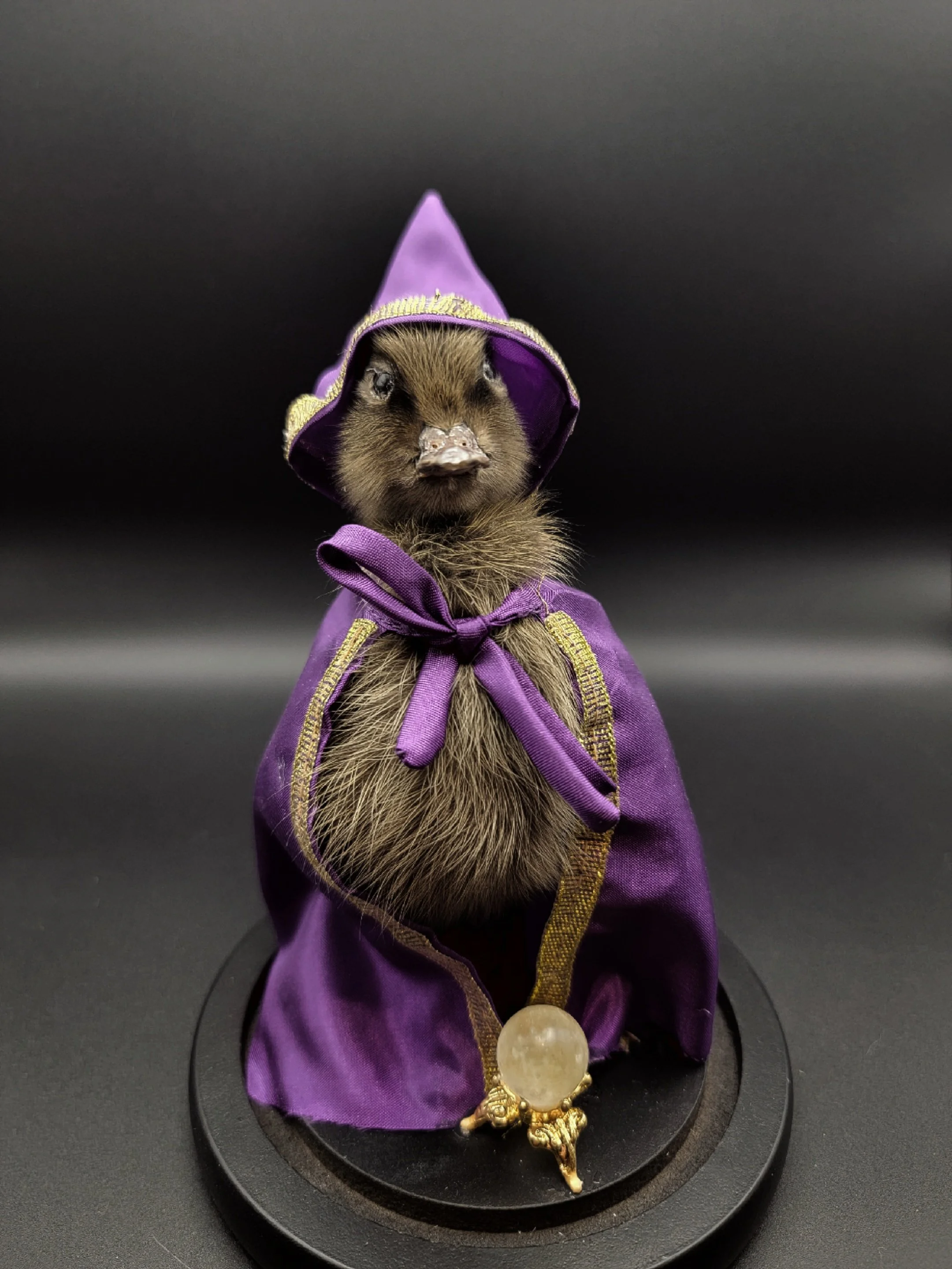 wizardduck7.jpg