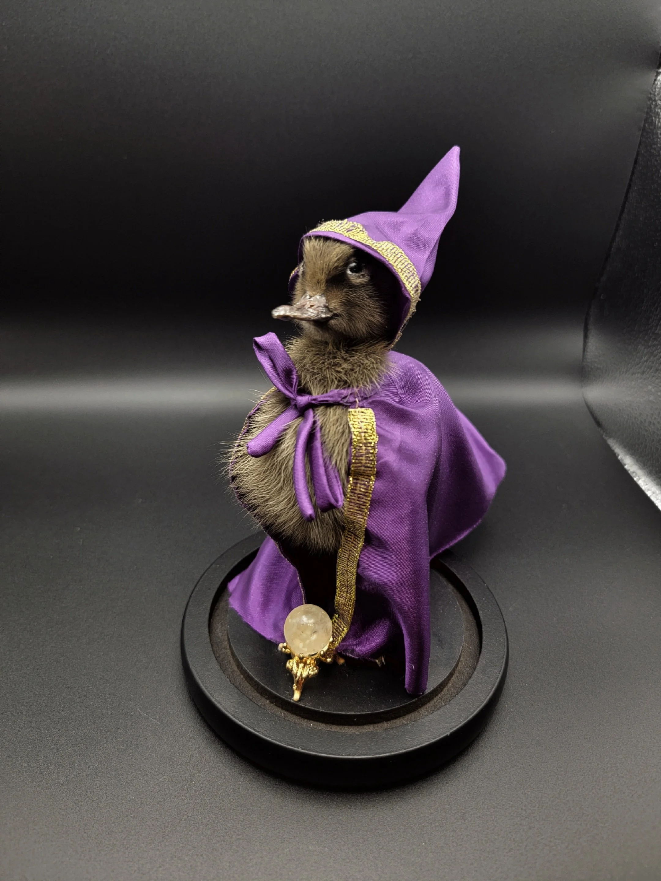 wizard duckling.jpg
