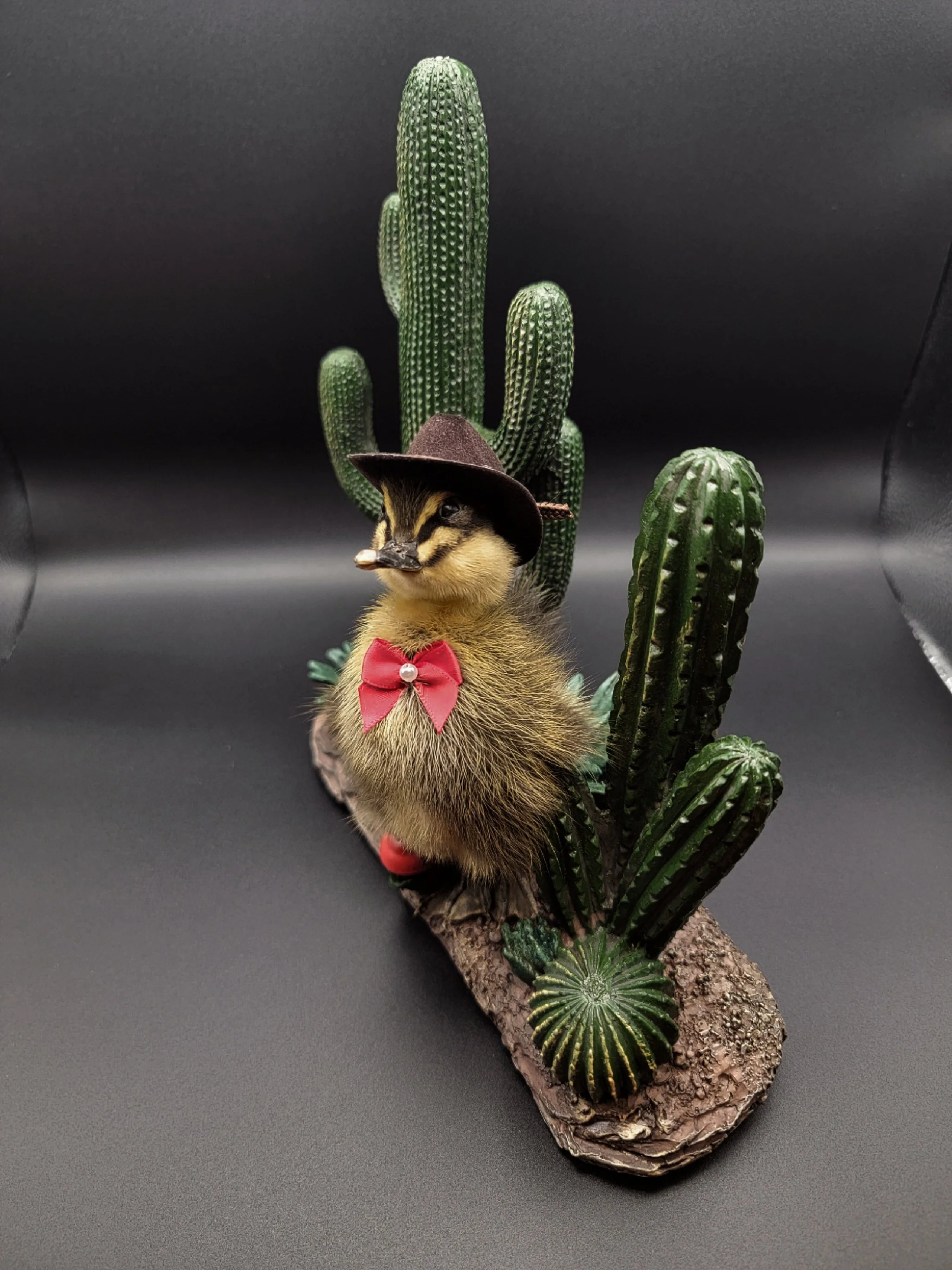 cactiduck3.jpg