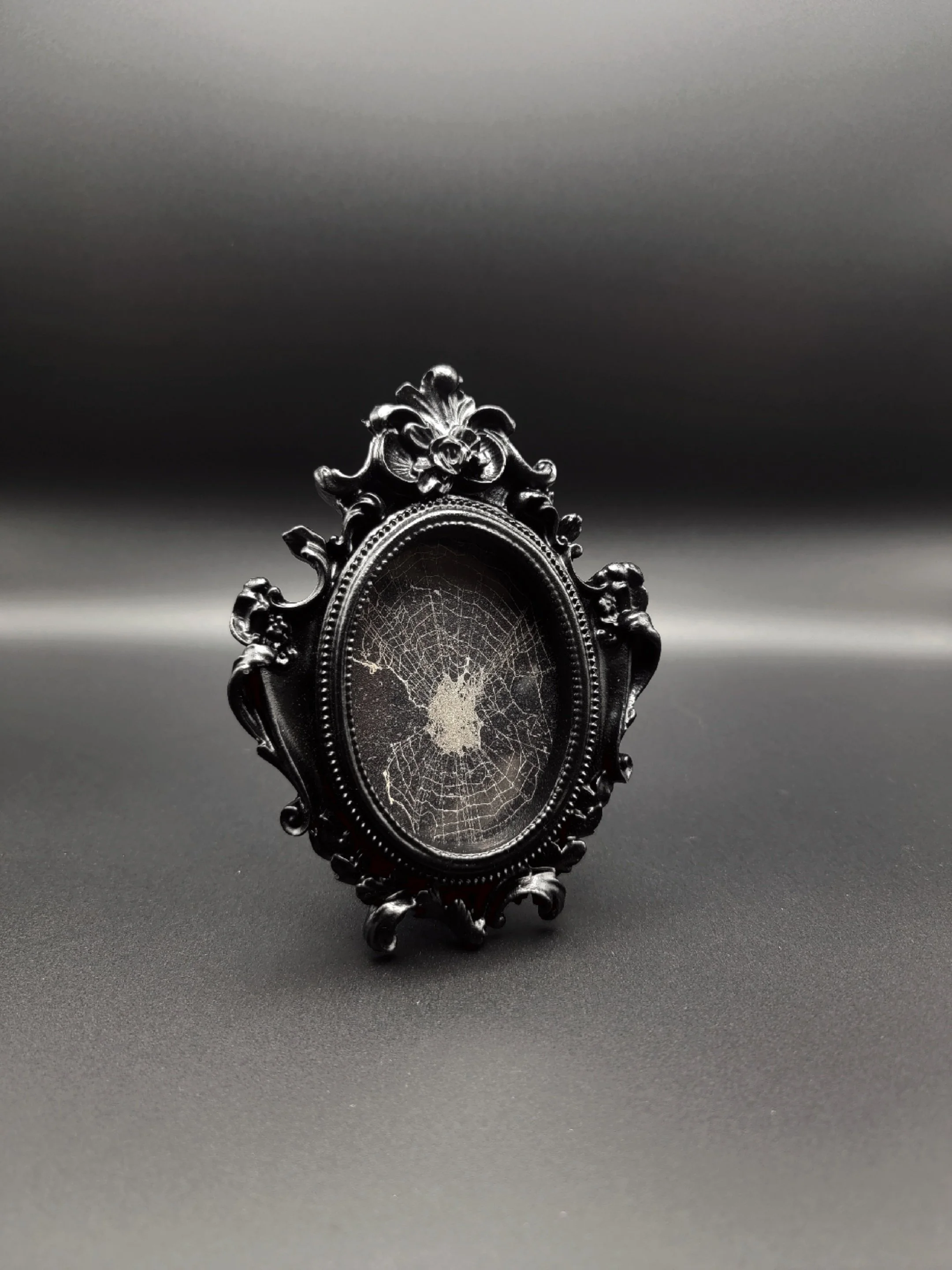 Small-Med Decorative Oval Framed Spiderweb