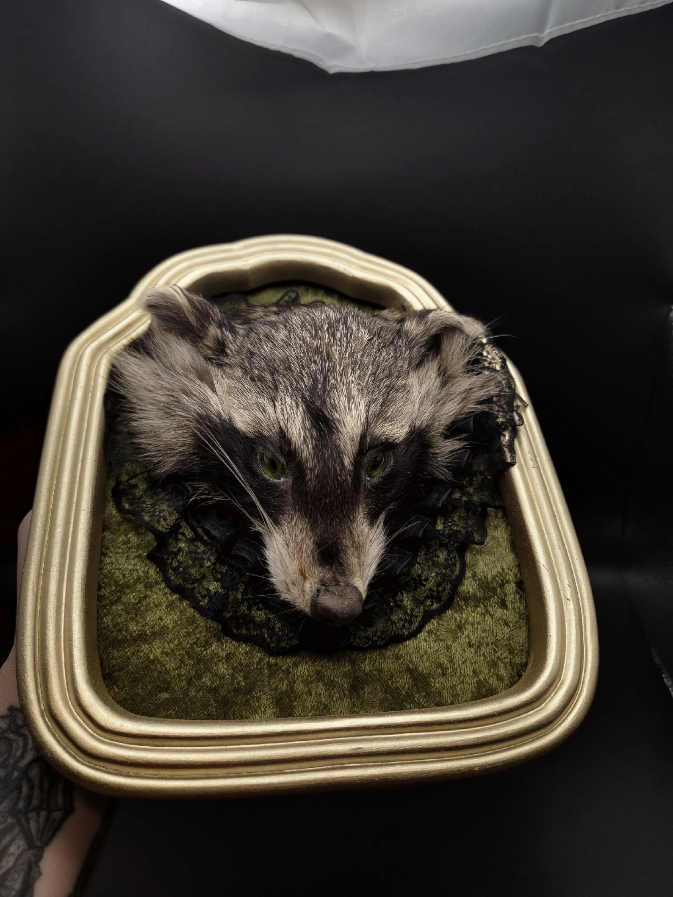 raccoonheadgold5.jpg