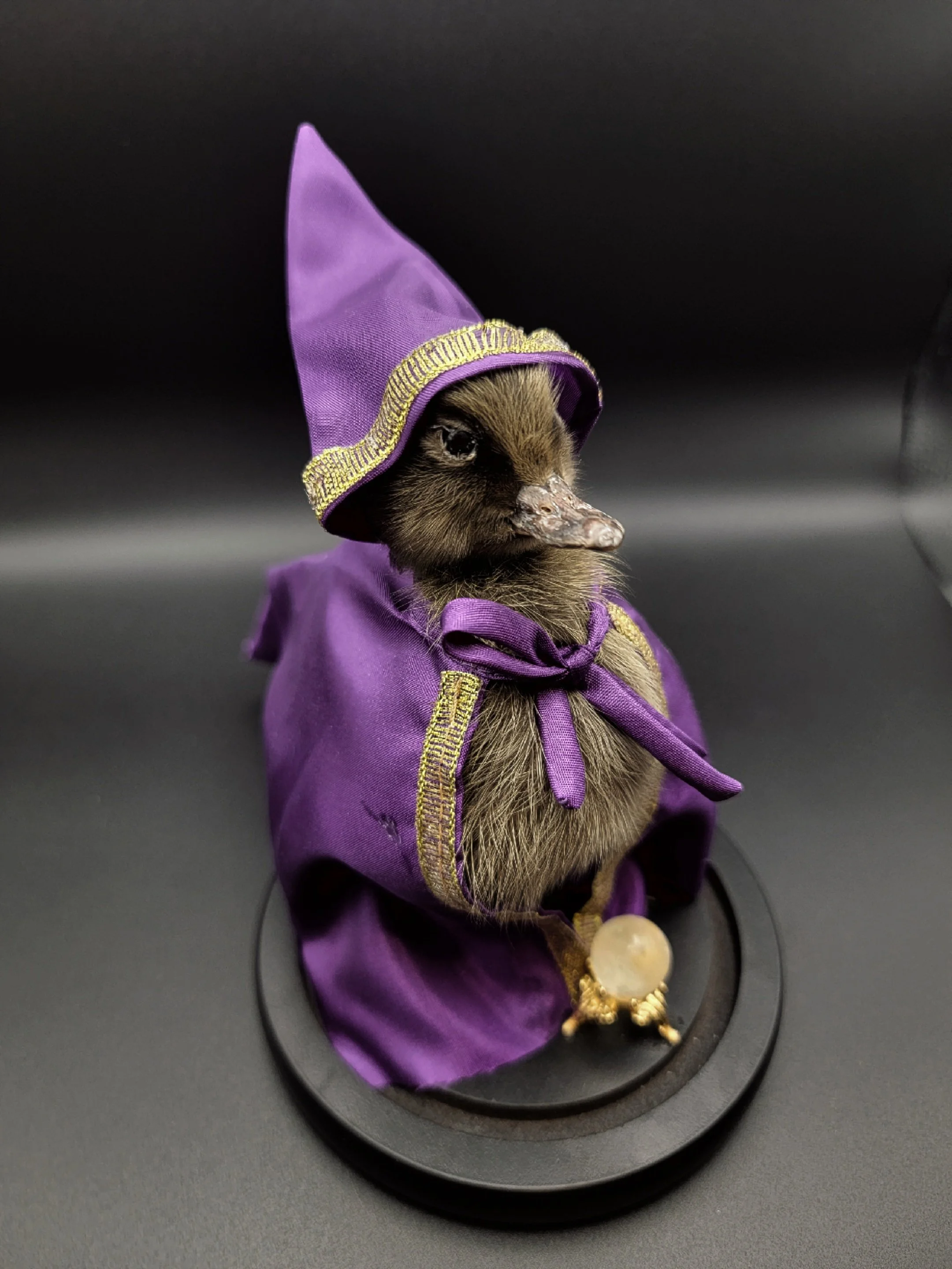 wizardduck6.jpg