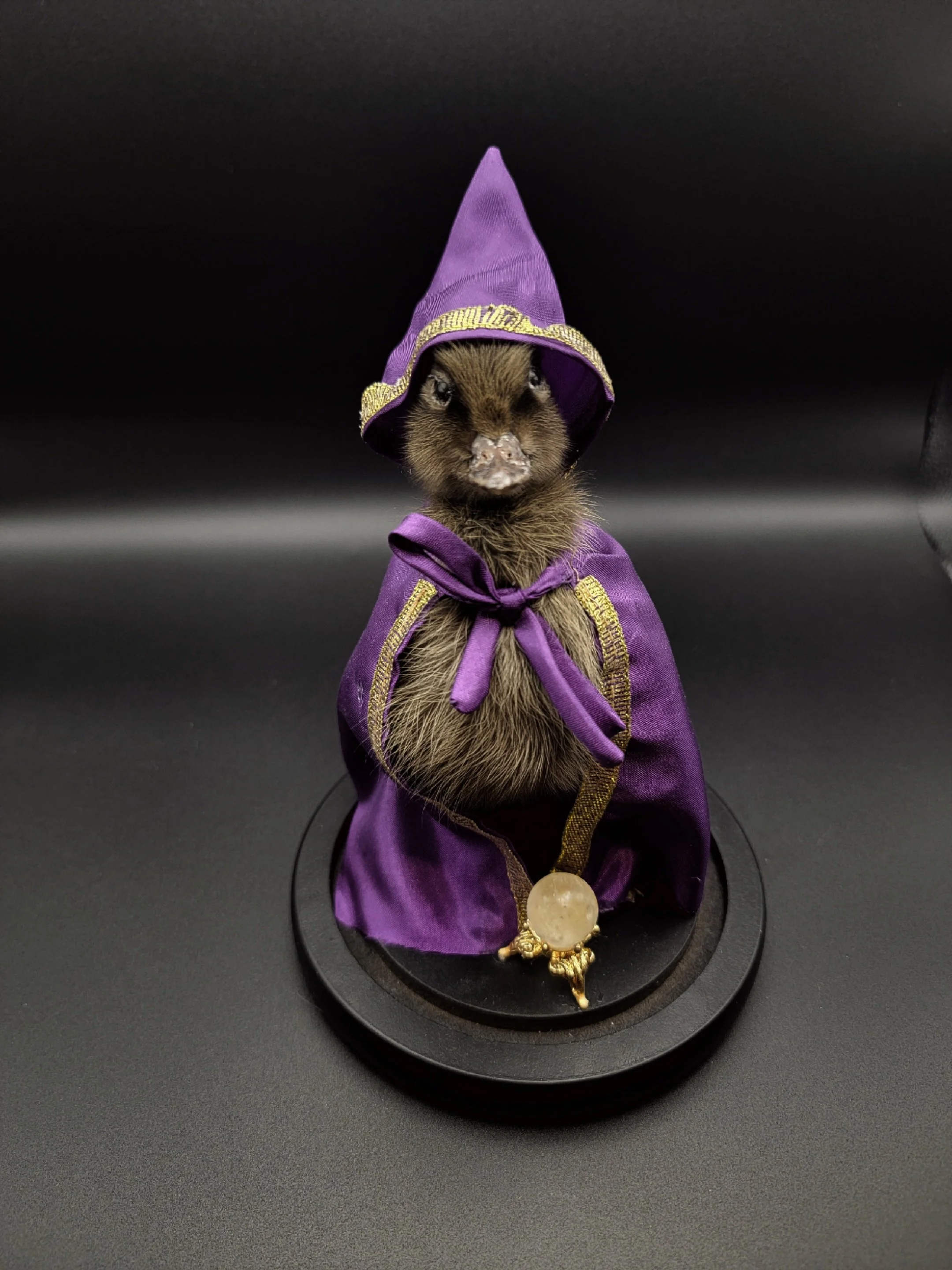 wizardduck5.jpg