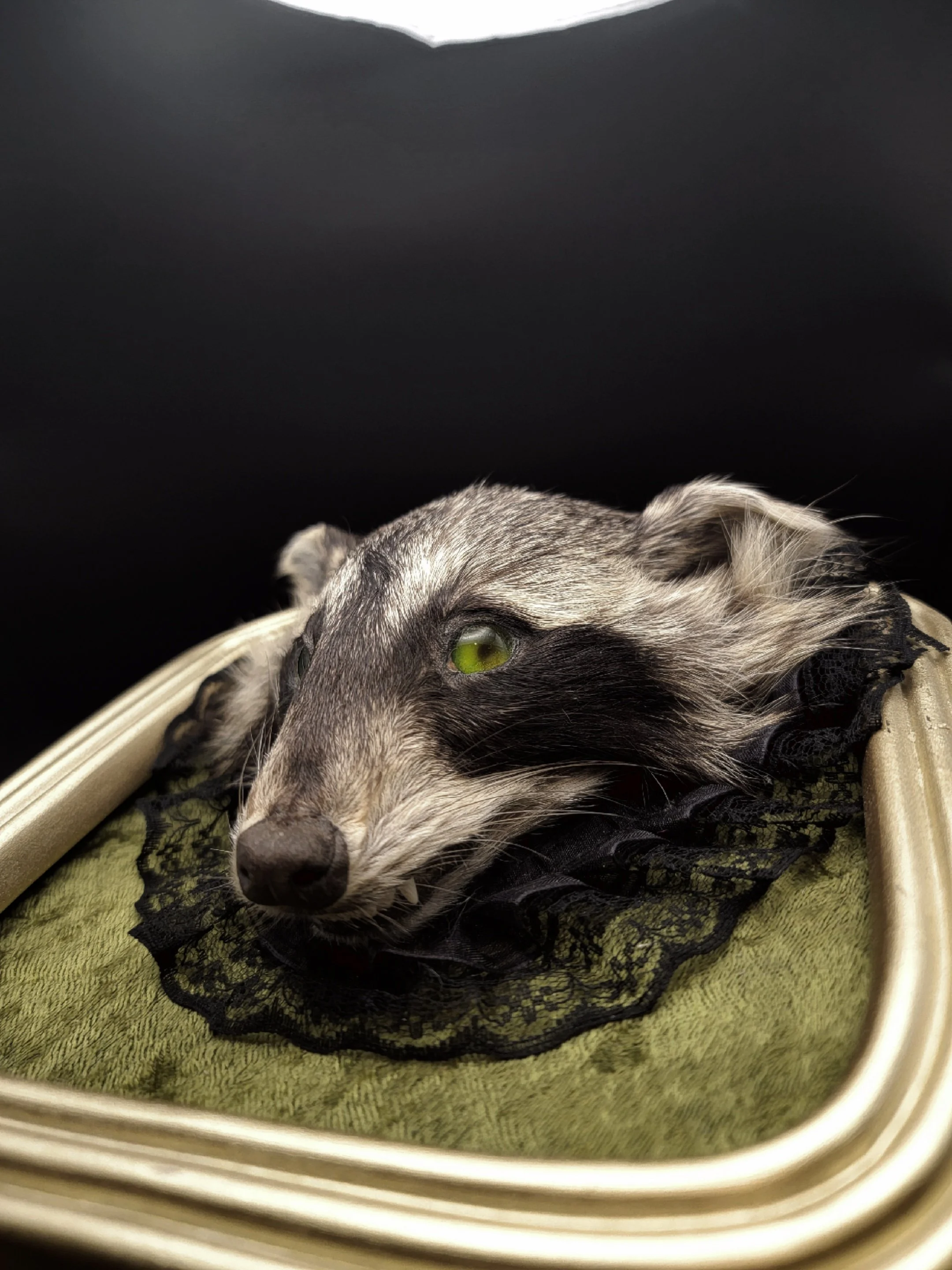 raccoonheadgold6.jpg