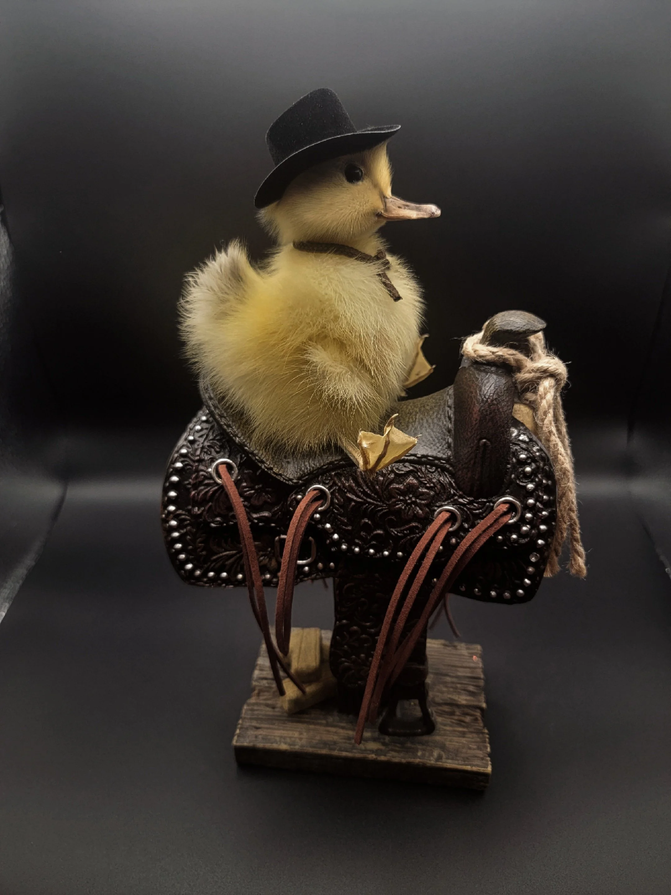 yellowduckcow3.jpg