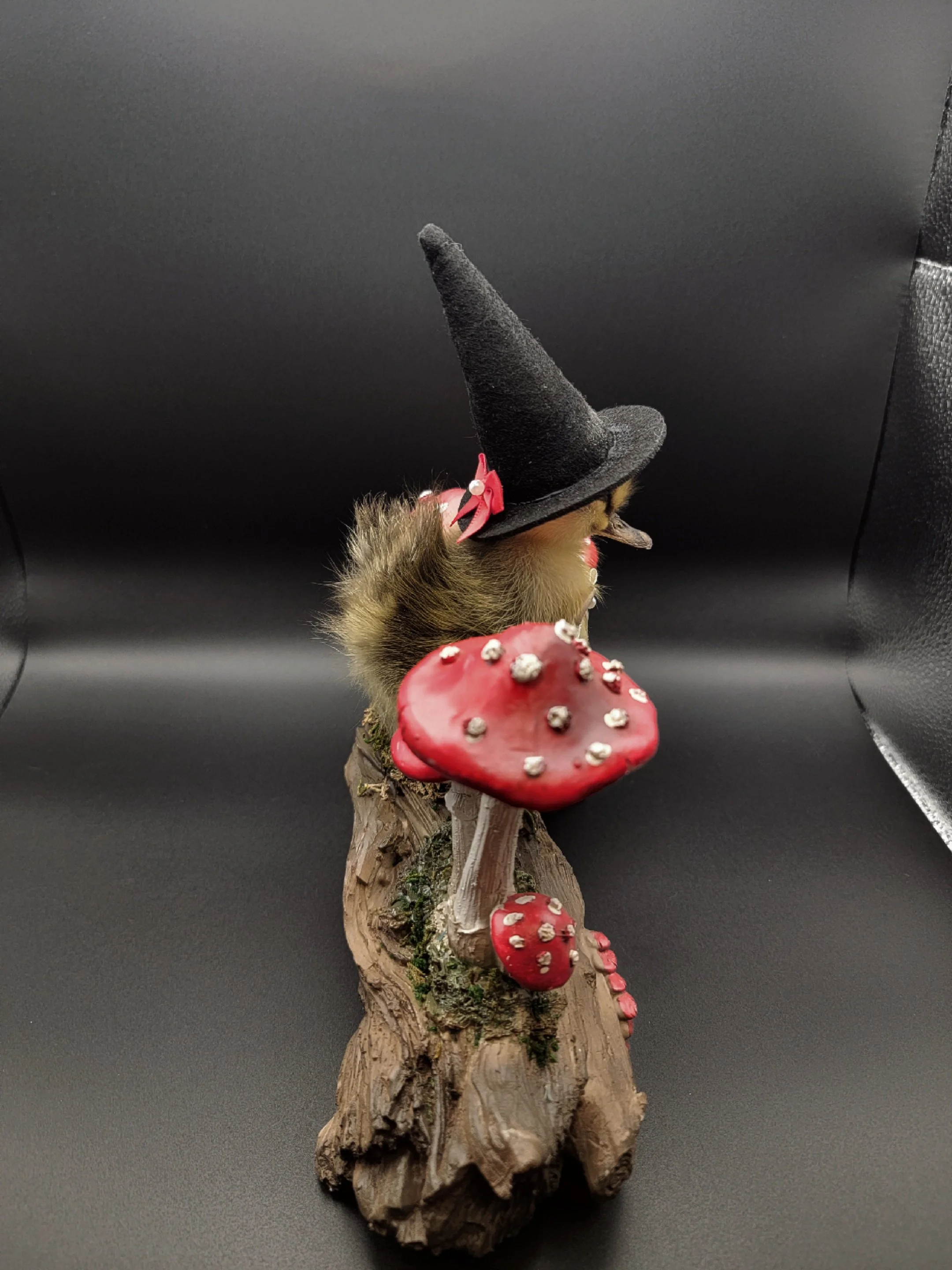 witchduckrooms4.jpg