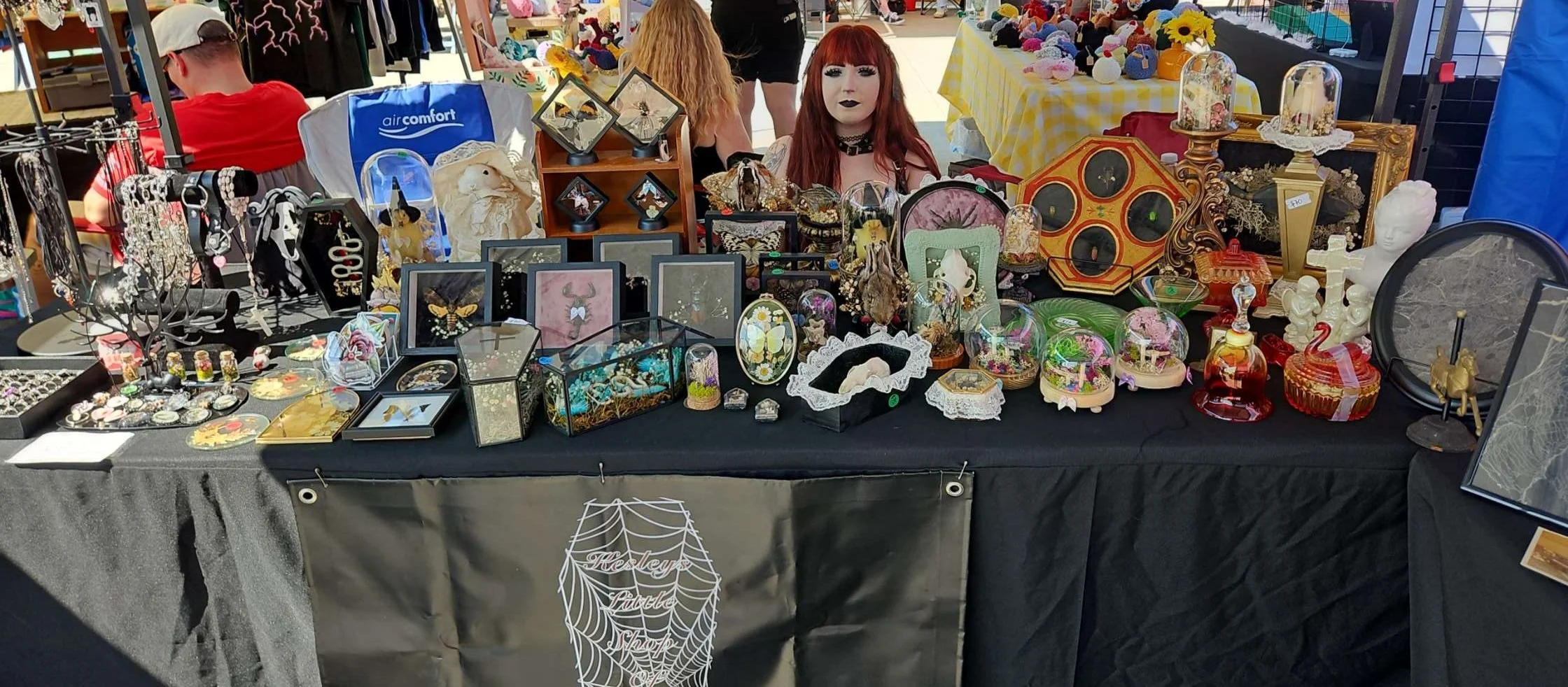 Featuring Kesley the shop owner behind her vendor table at an outdoor market. Proudly showing off her creations, handmade jewelry, framed insects, bone displays, framed spiderwebs, glass dome displays, taxidermy, uranium/cadmium glass, and more.